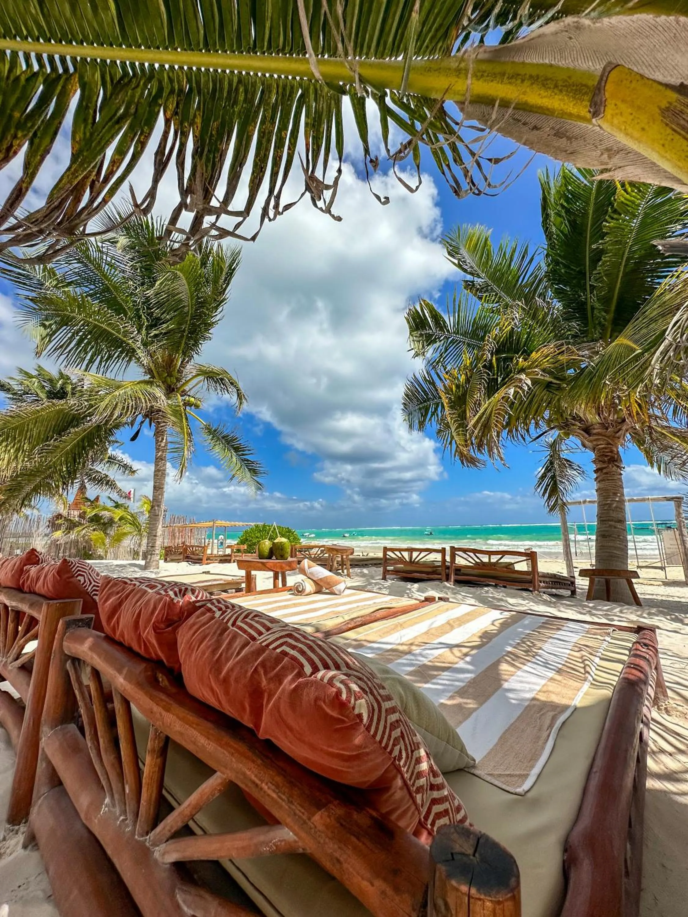 Natural landscape in Alito Tulum Hotel