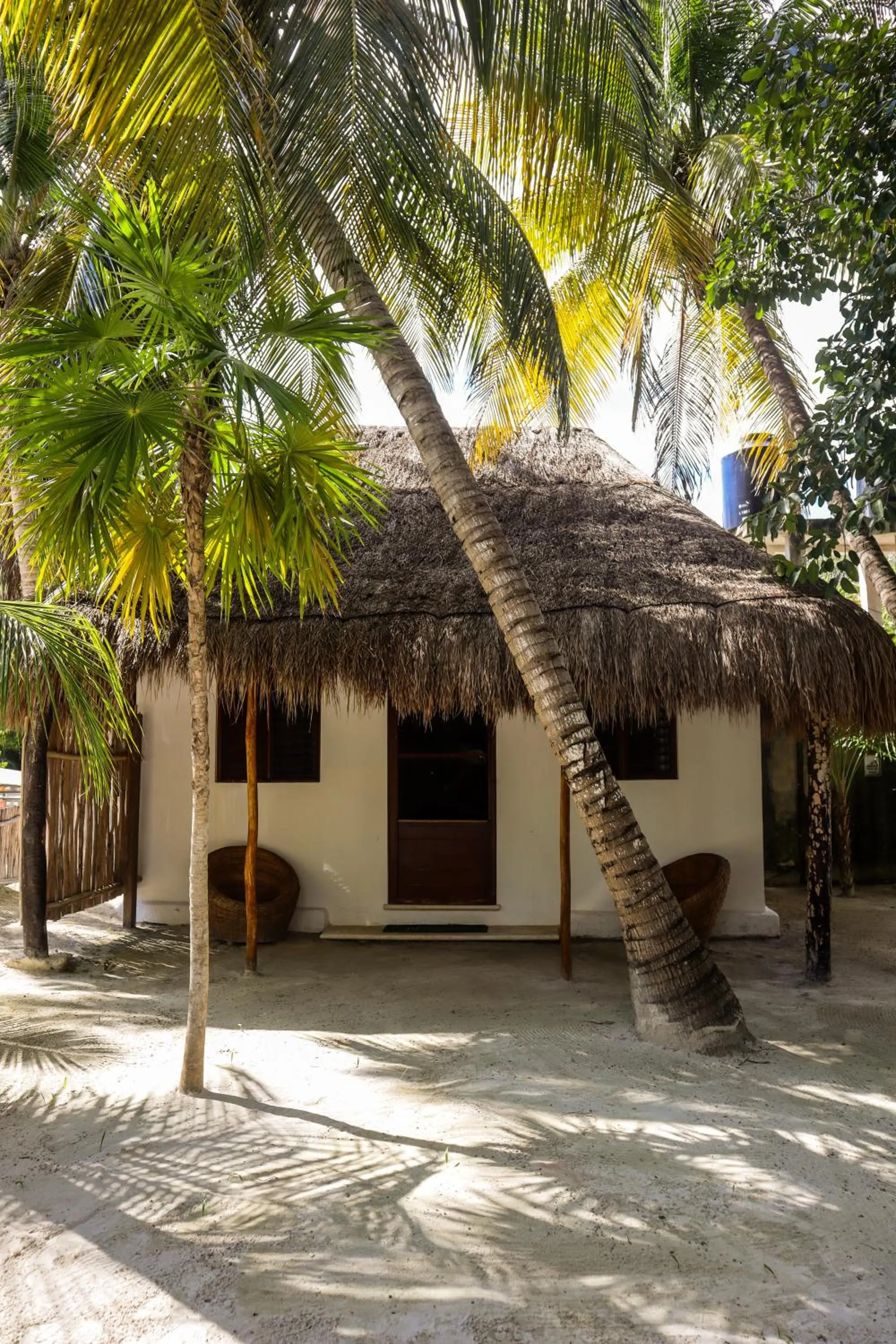Off site in Alito Tulum Hotel
