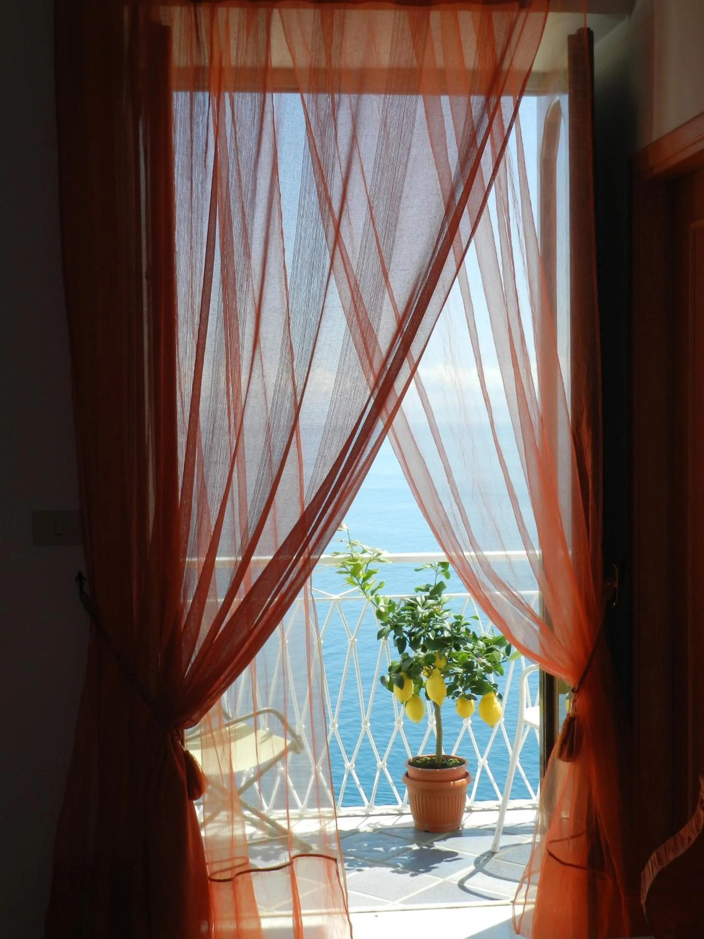 Balcony/Terrace in Hotel Holiday