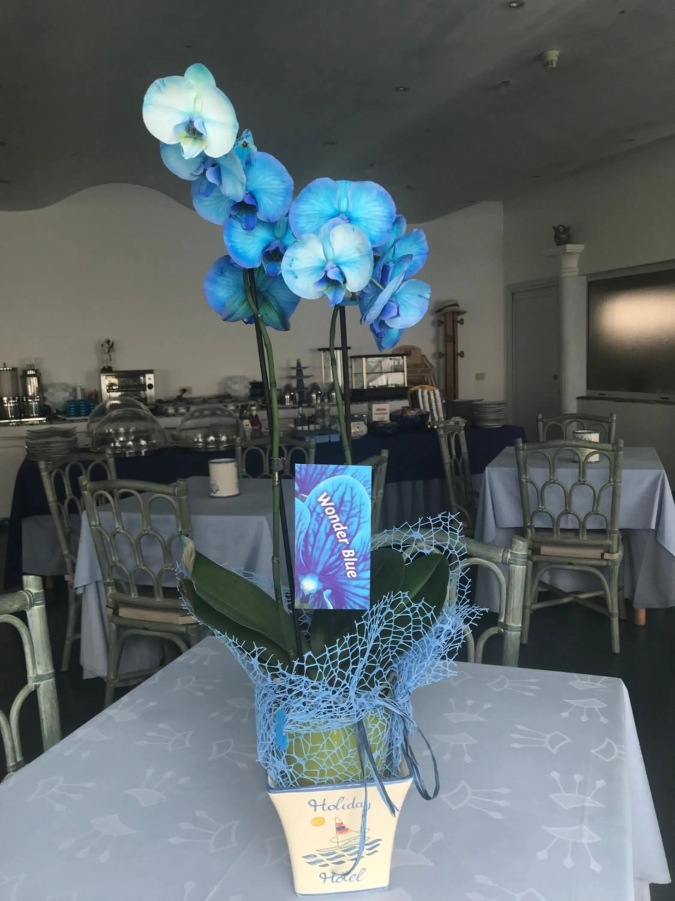 Lounge or bar in Hotel Holiday