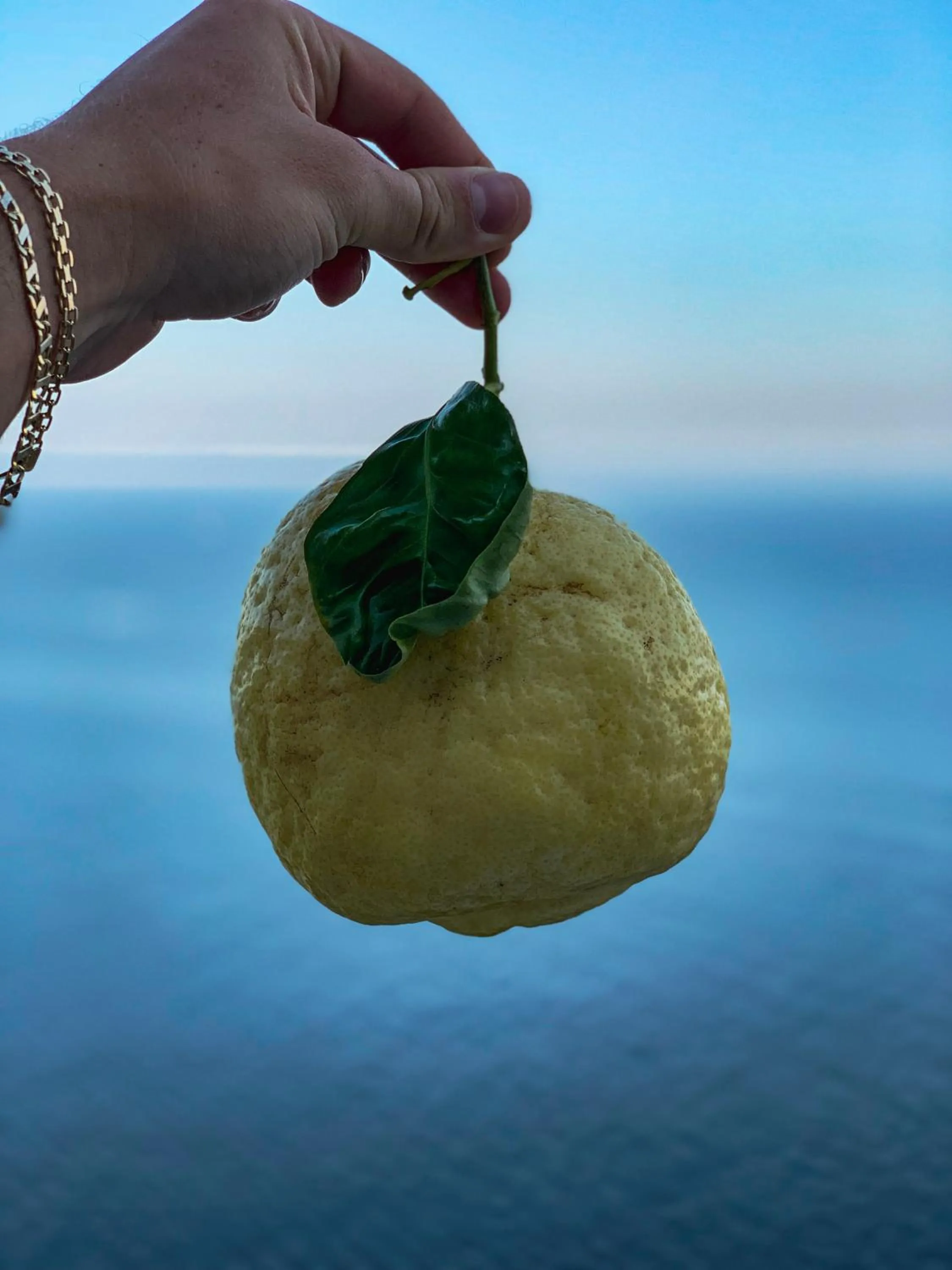 Food in Hotel Holiday