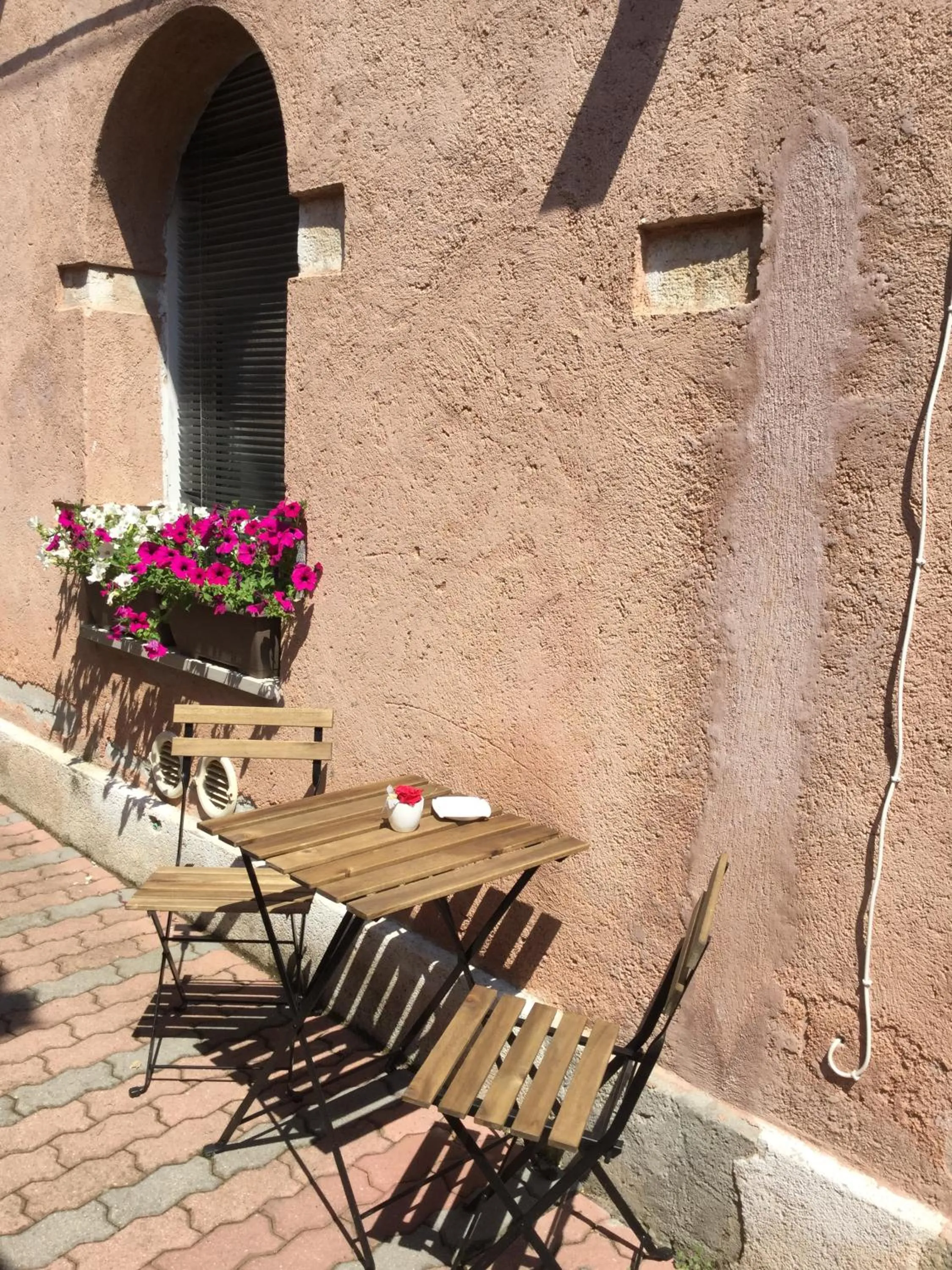 Garden in Hotel Ariel Silva