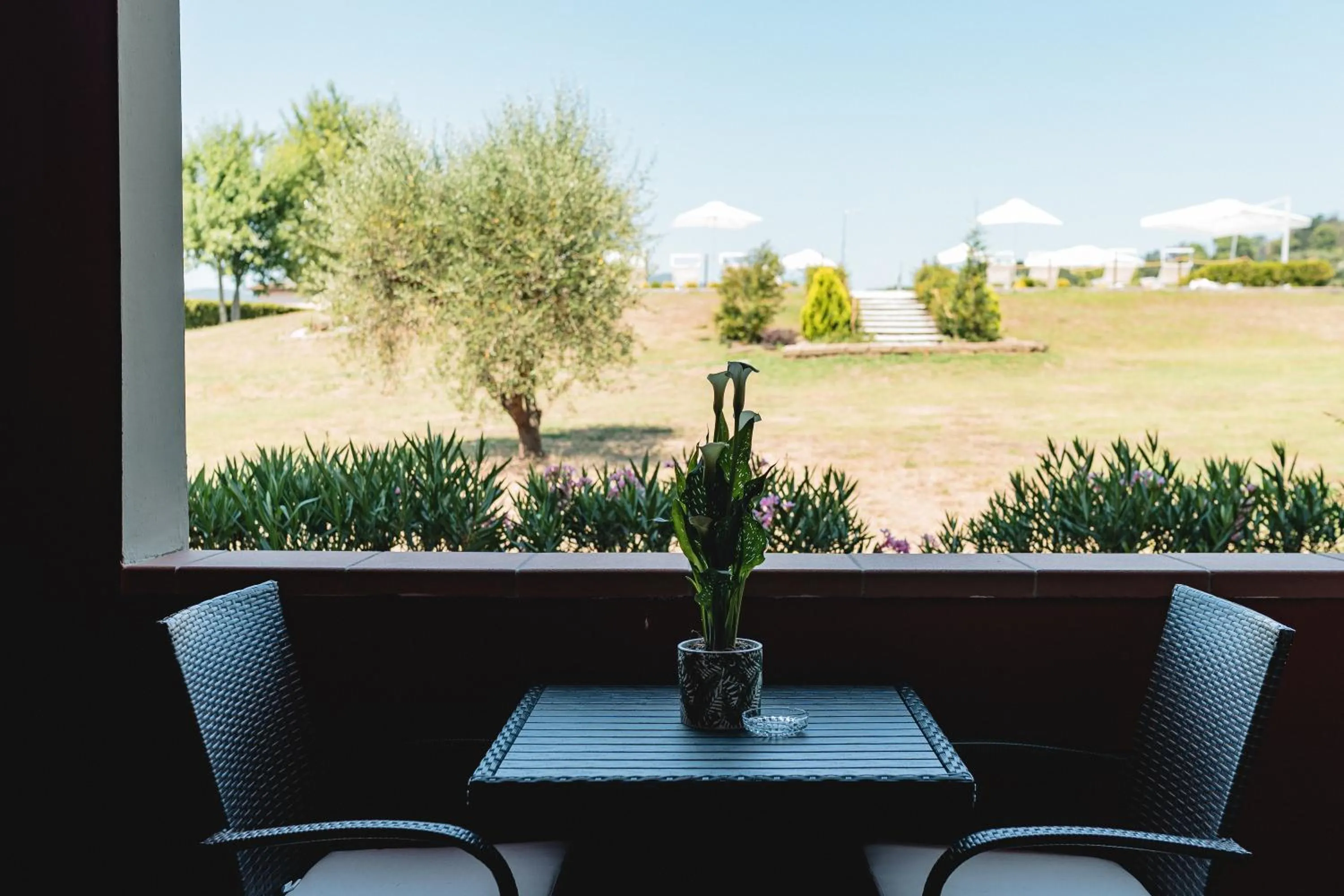 Balcony/Terrace in Hotel Carignano