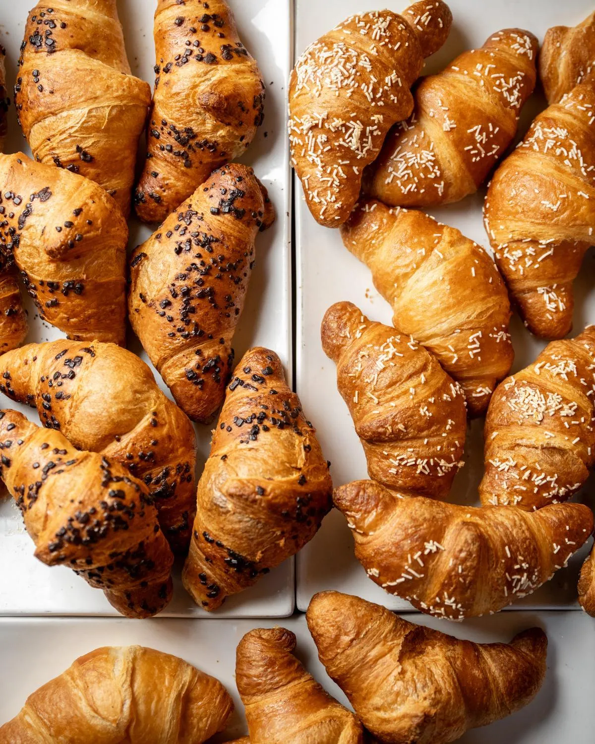 Breakfast in Palazzo dei Ciompi Suites