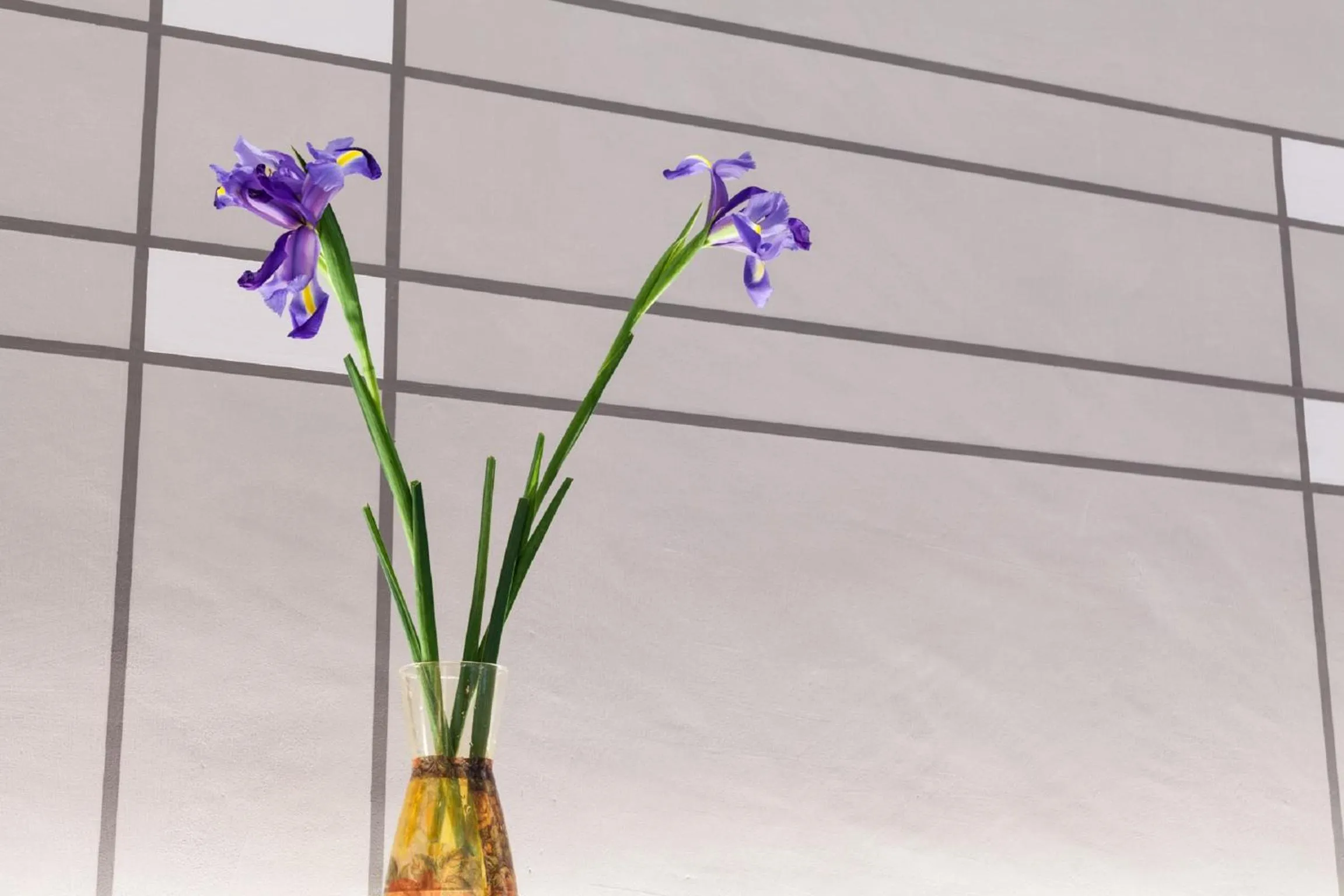 Restaurant/places to eat in Palazzo dei Ciompi Suites