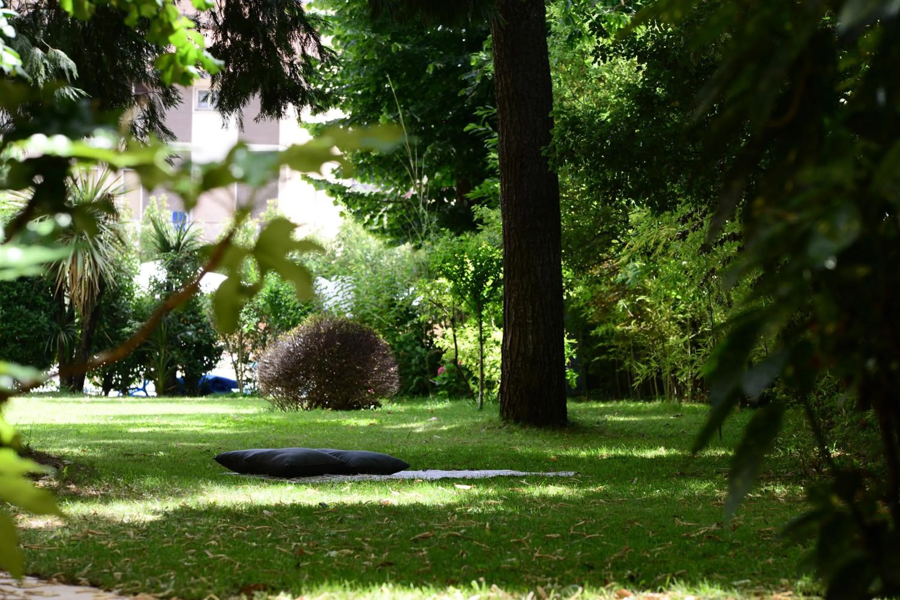 Garden in Silva Hotel Splendid