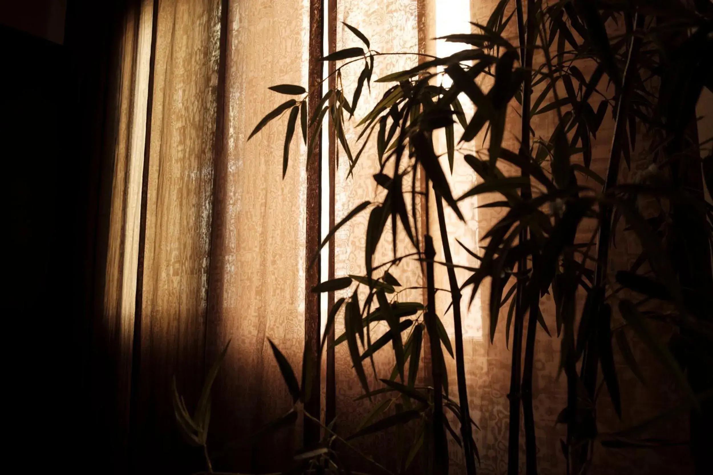 Deluxe Double Room in Ca' Pozzo Inn Deluxe Double Room in Ca' Pozzo Inn