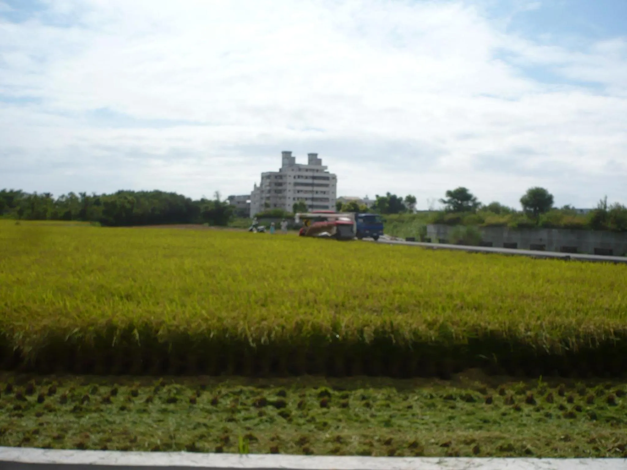 View (from property/room) in Yilan Xiang Feng Homestay
