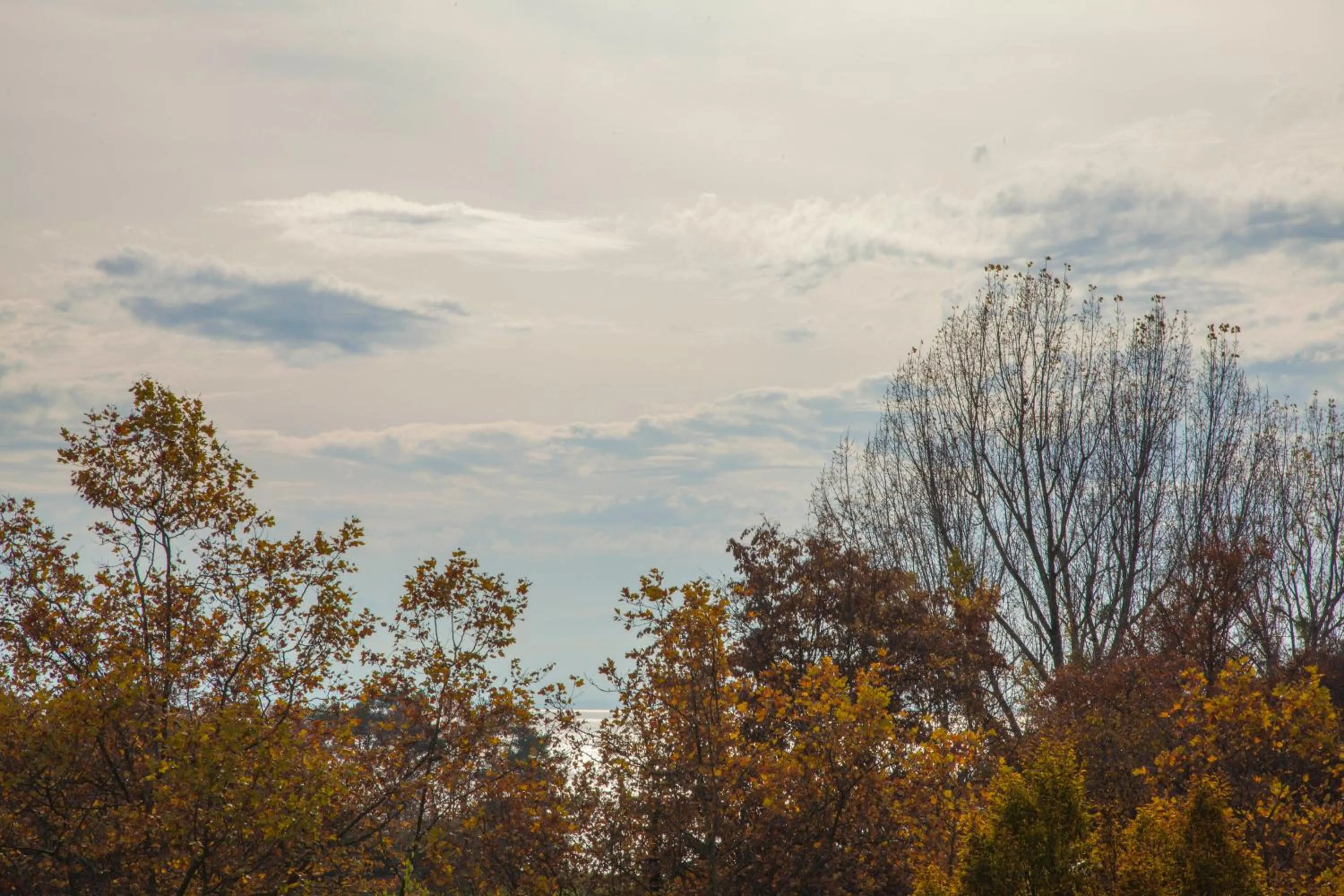 Property building in Apart'Hotel 46a