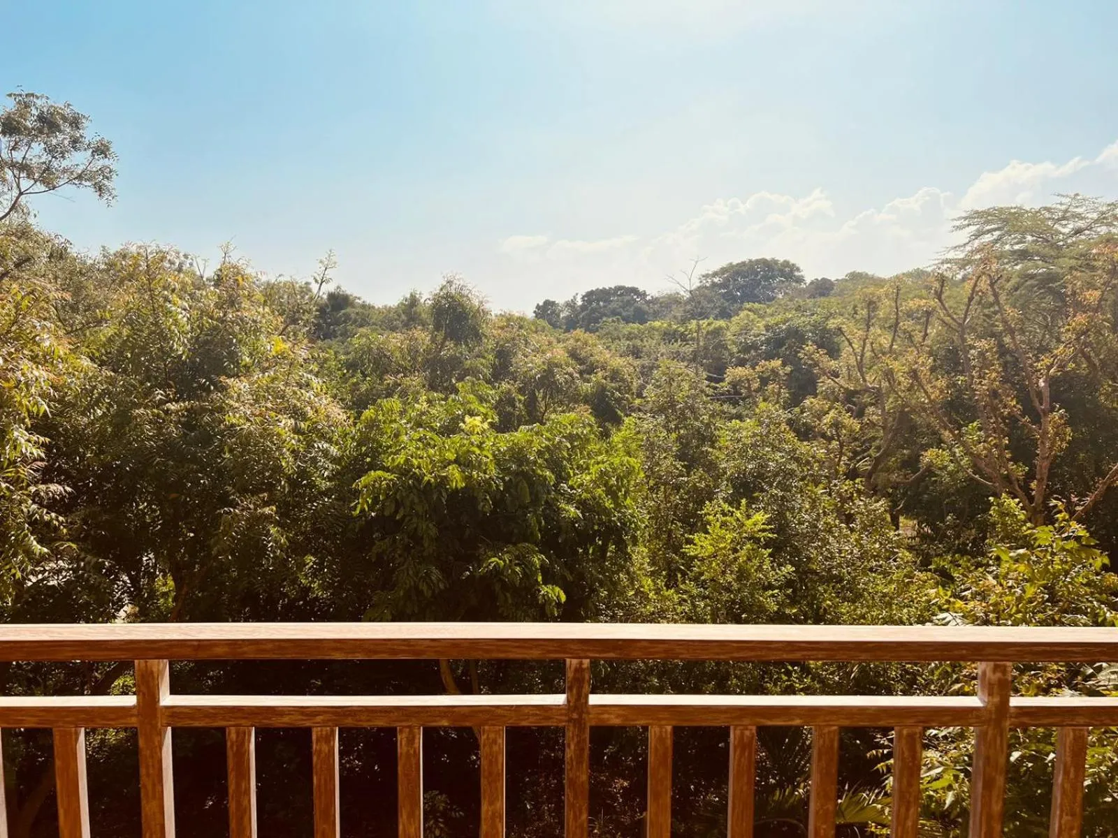 Natural landscape in Tombo House