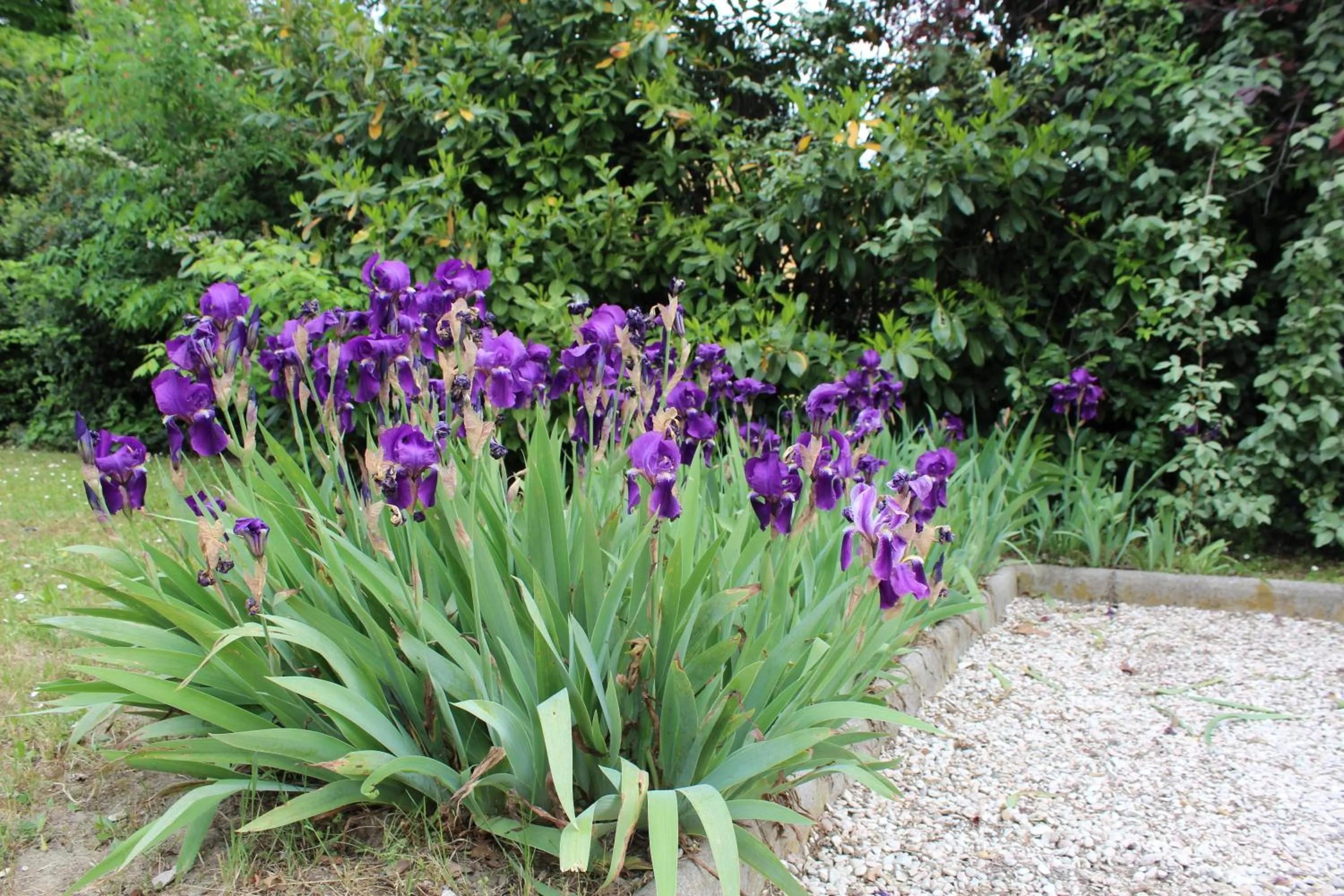 Spring in Verdemilia Hotel