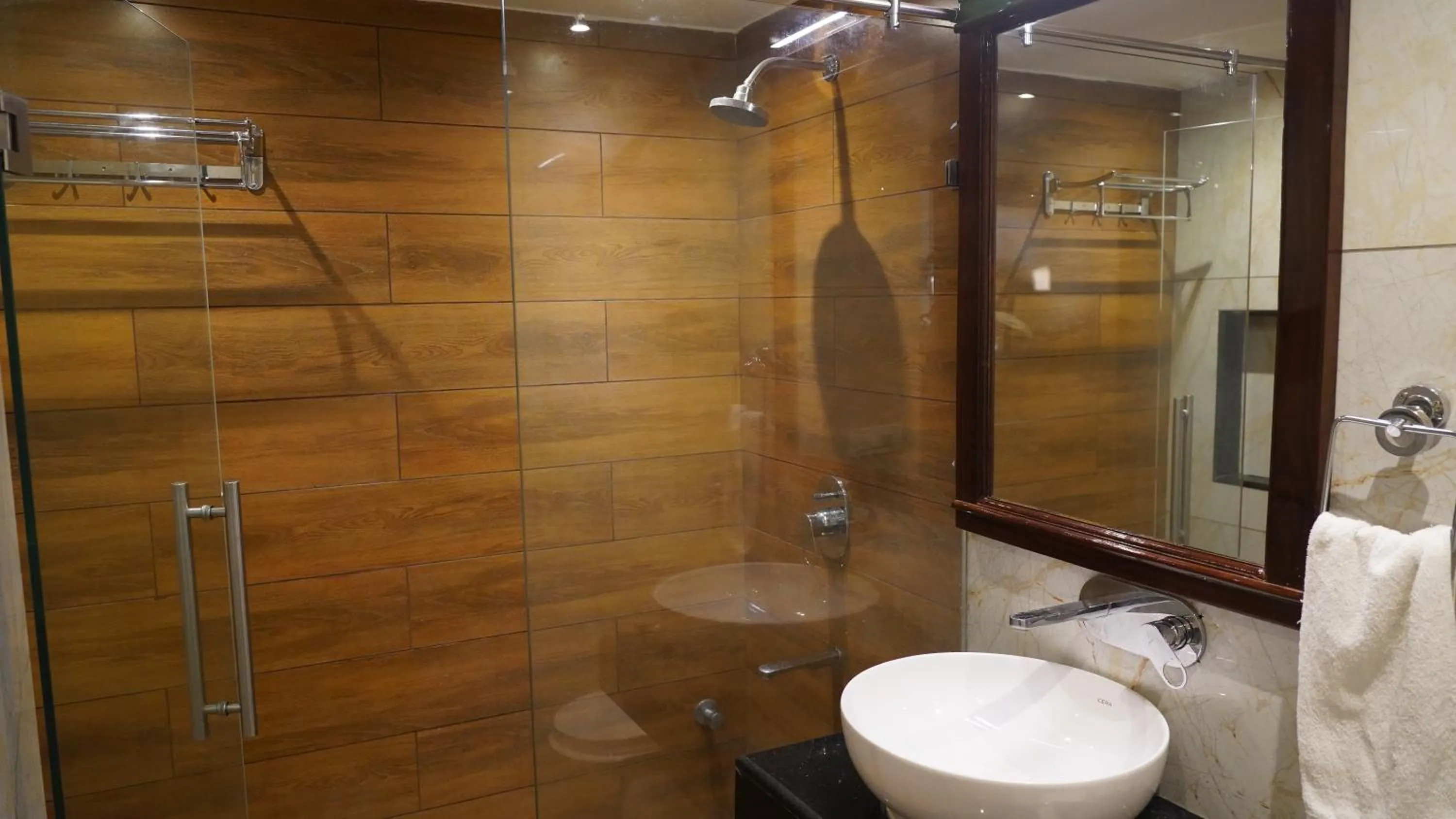 Shower in HOTEL RIO BENARAS