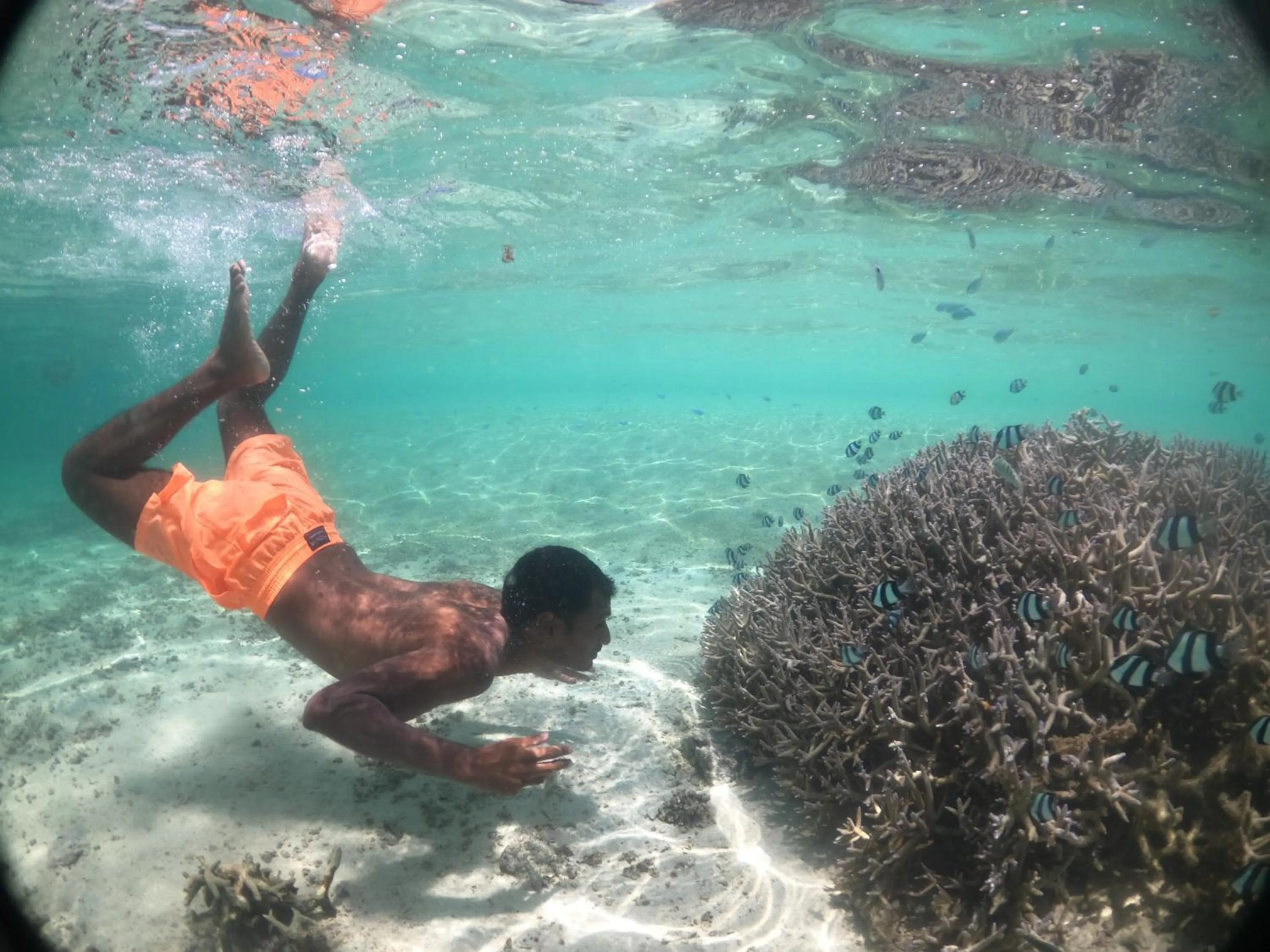 Activities in Astroea Beach Hotel