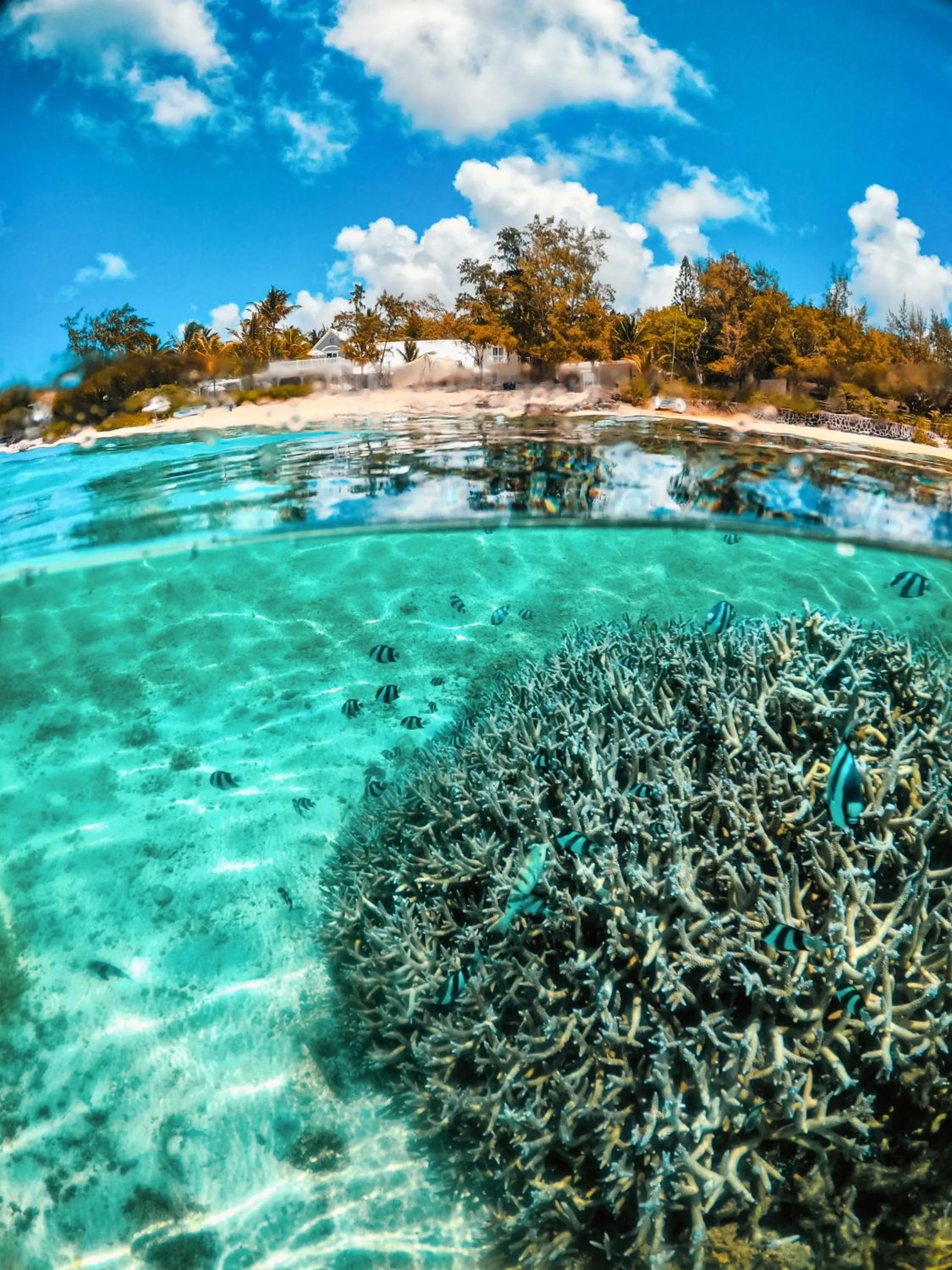 Beach in Astroea Beach Hotel