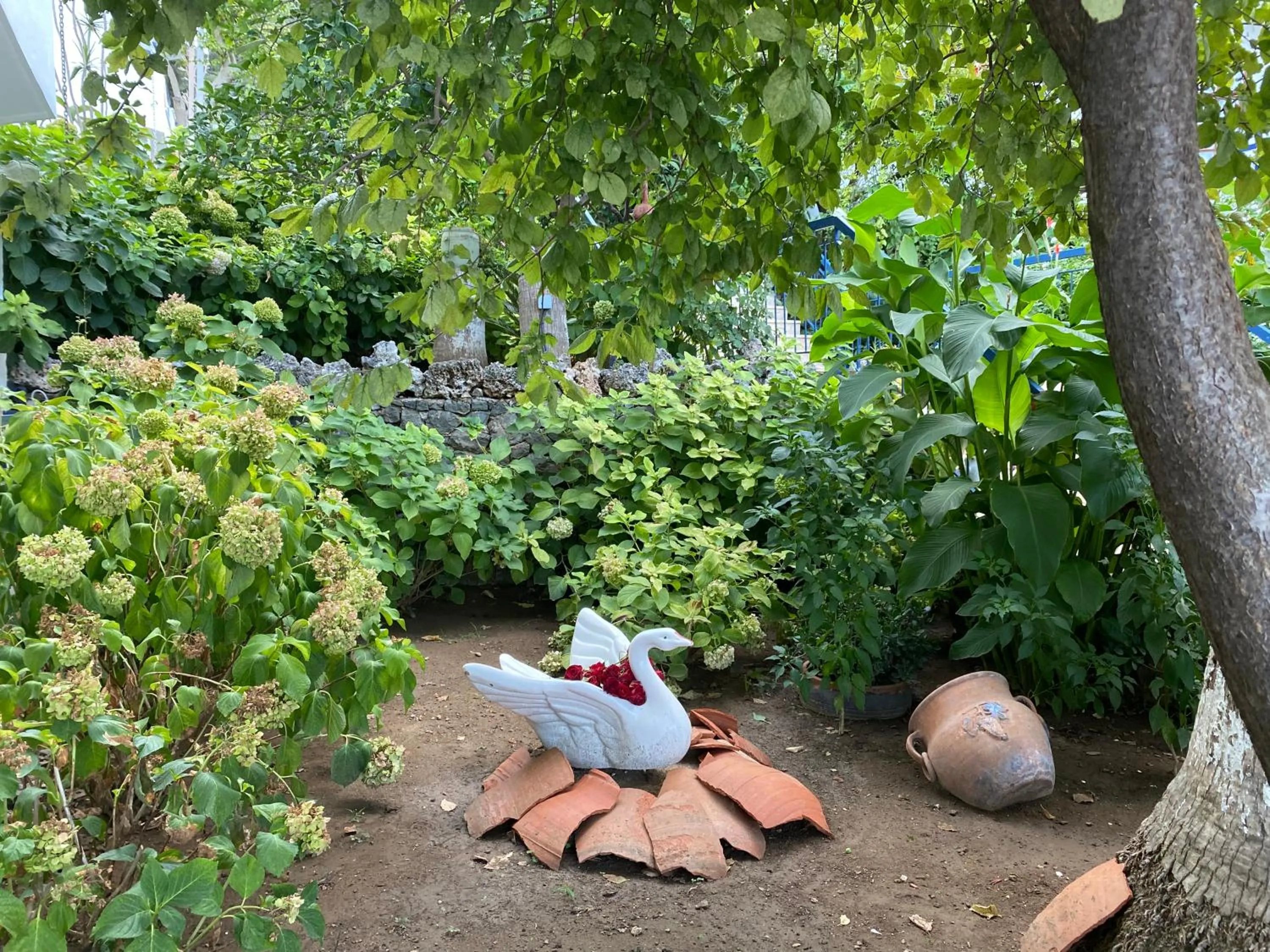 Day in NATURELLA APART HOTEL