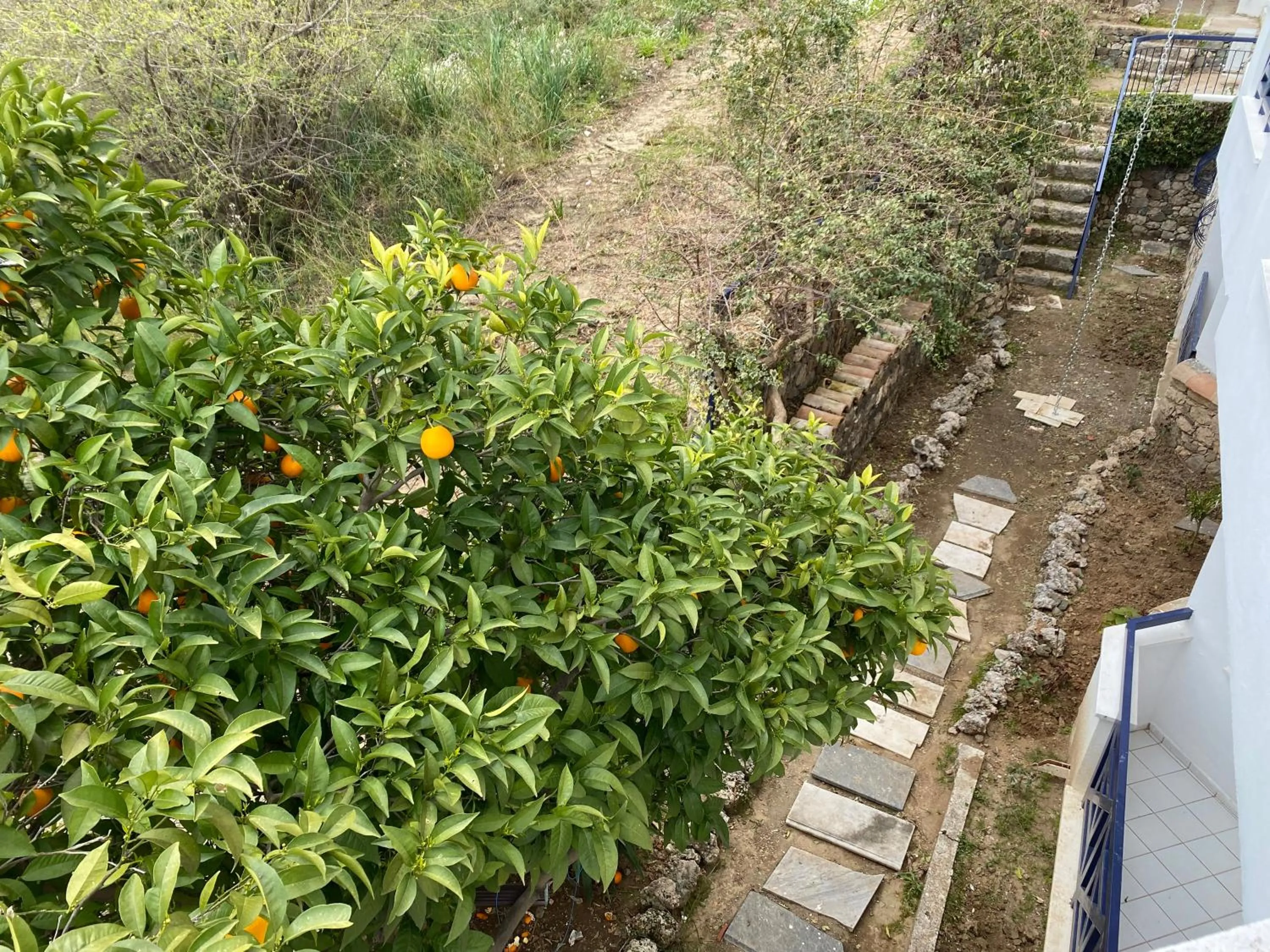 Garden in NATURELLA APART HOTEL