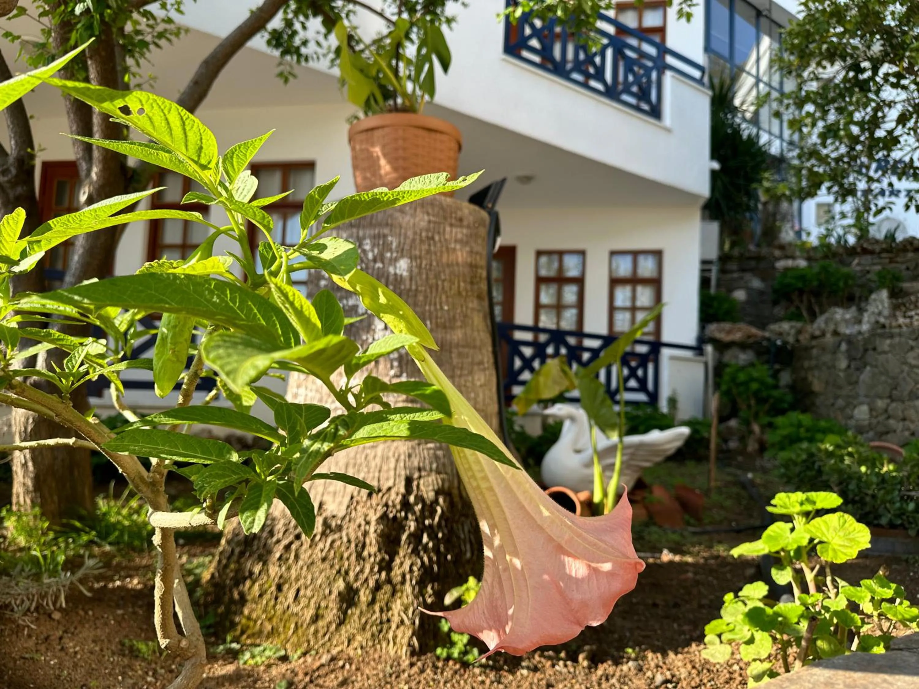 Spring in NATURELLA APART HOTEL