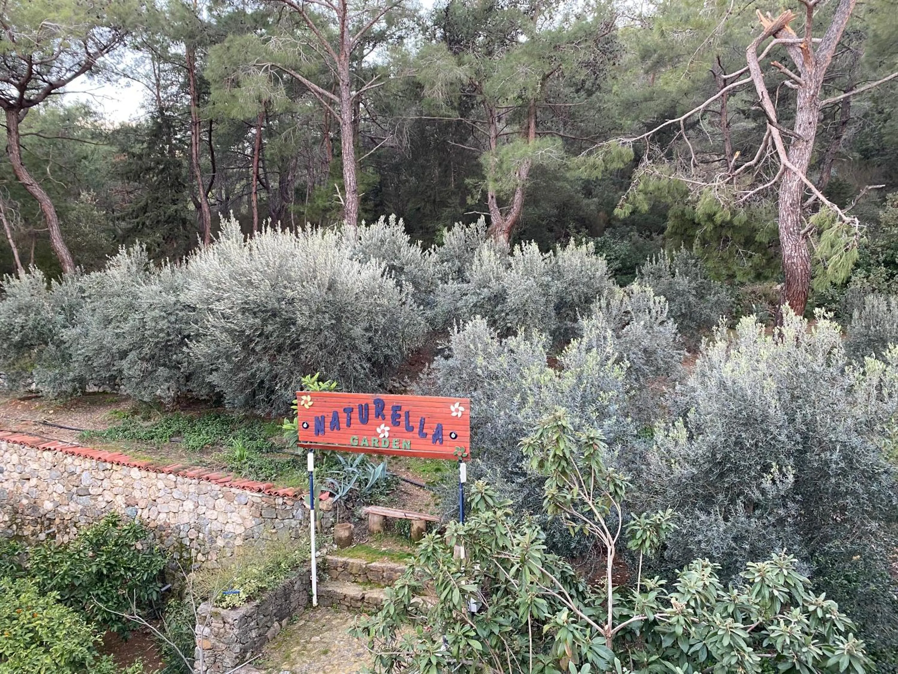Garden in NATURELLA APART HOTEL