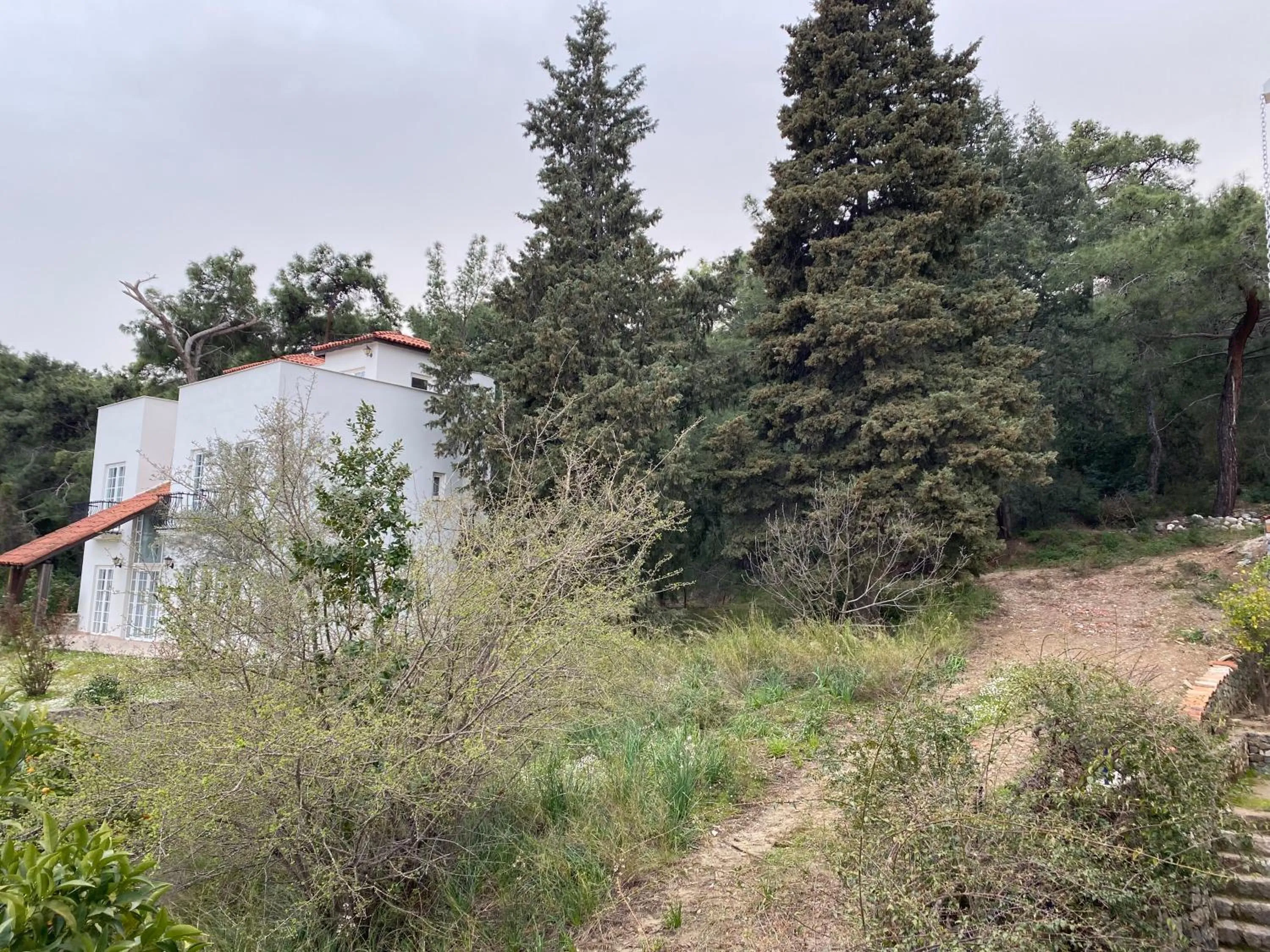 Natural landscape in NATURELLA APART HOTEL