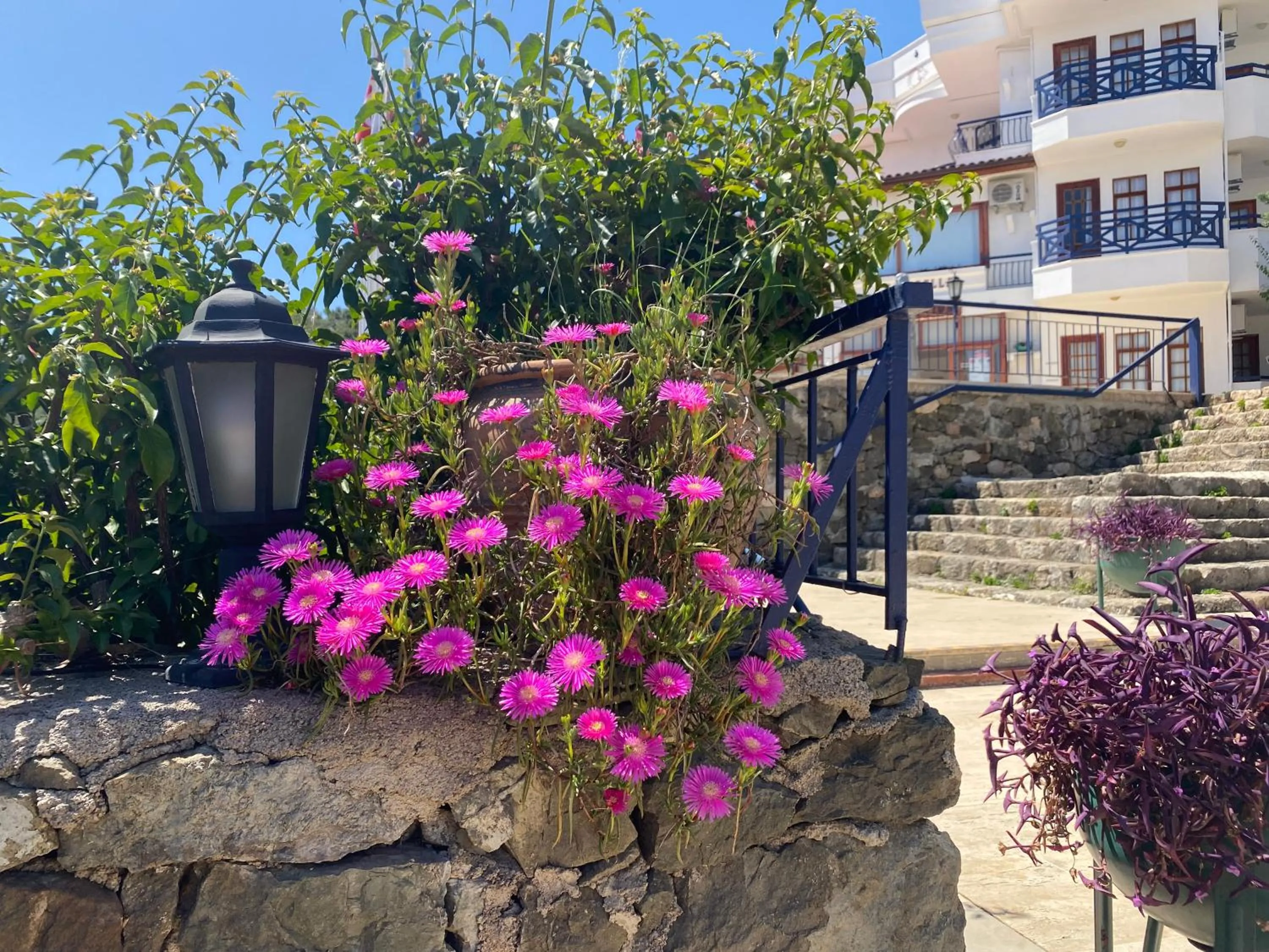 Garden in NATURELLA APART HOTEL