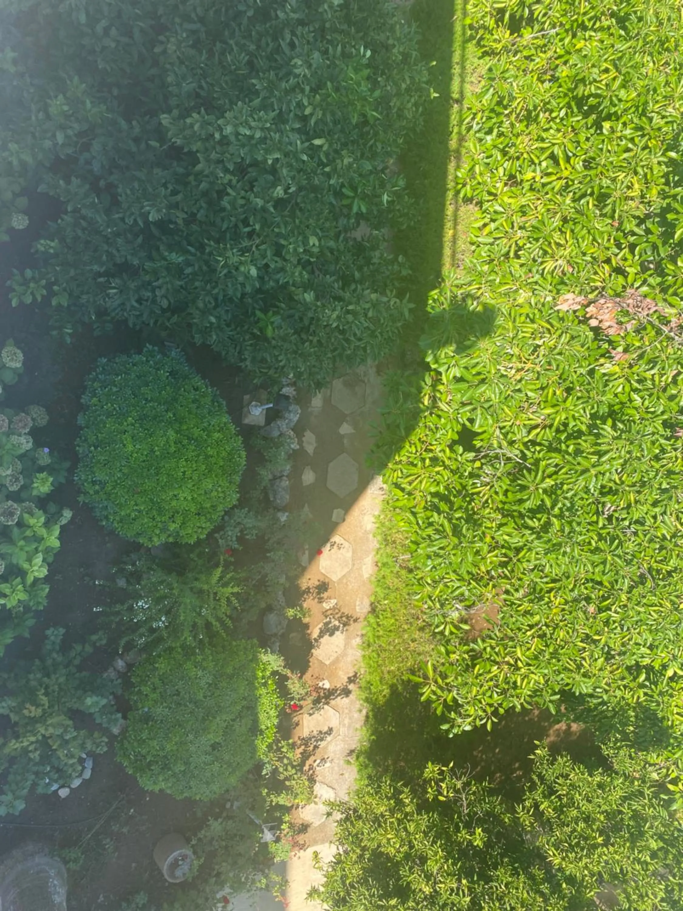 Garden in NATURELLA APART HOTEL