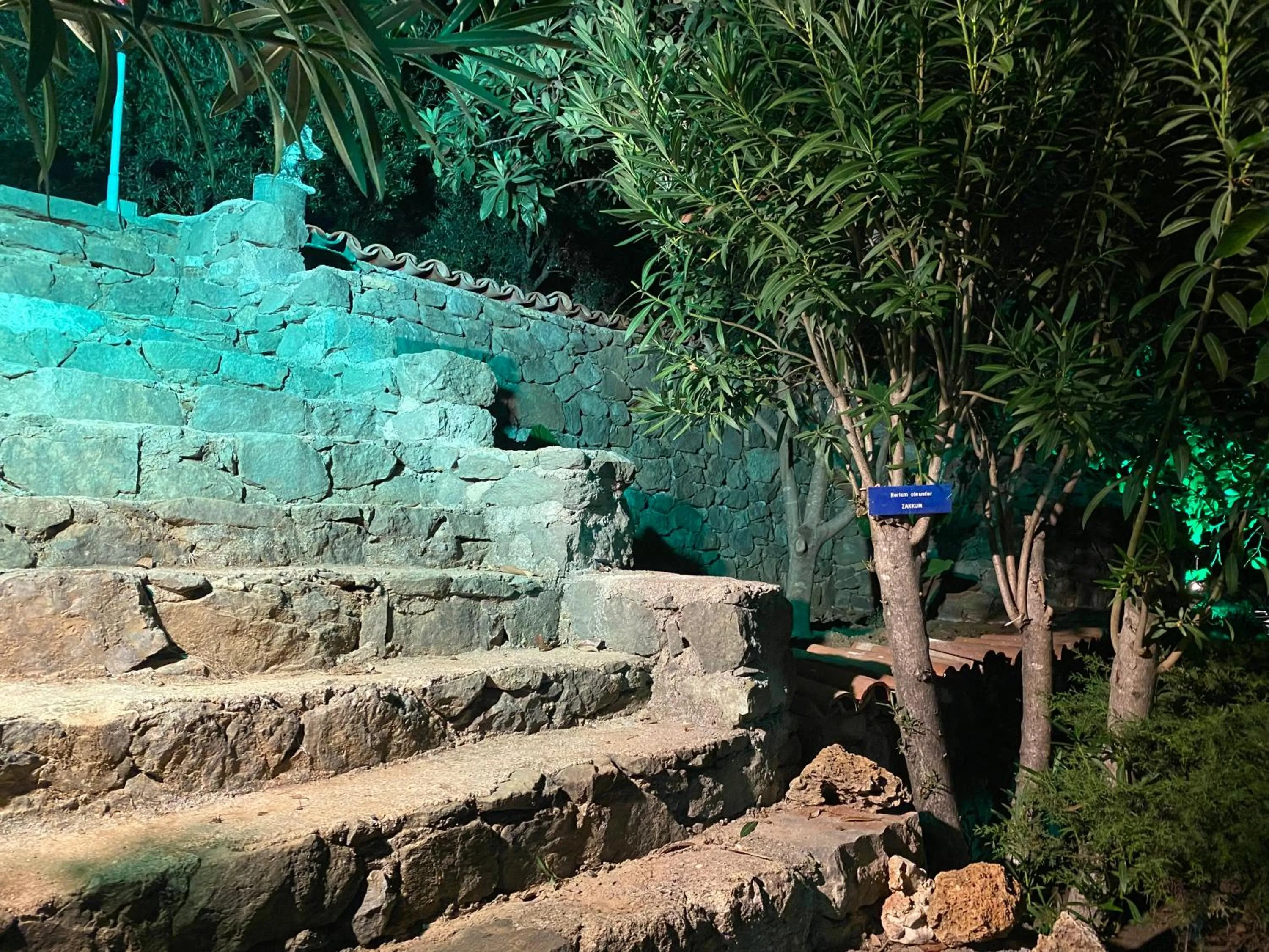 Garden in NATURELLA APART HOTEL