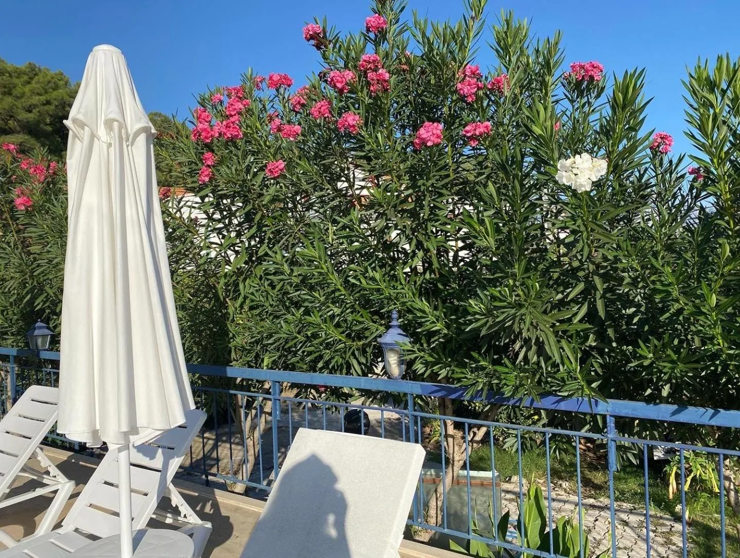 Garden in NATURELLA APART HOTEL