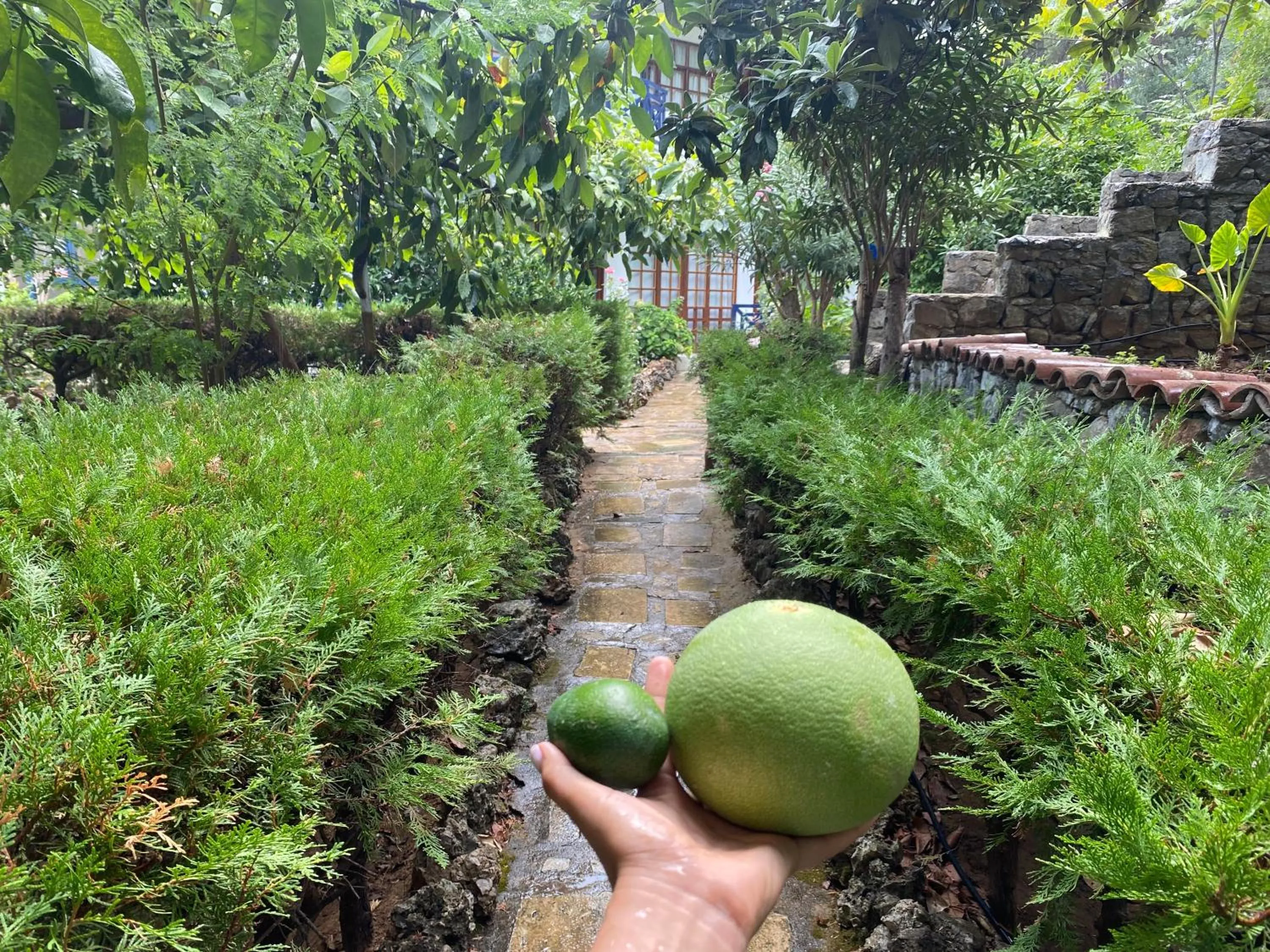Garden in NATURELLA APART HOTEL