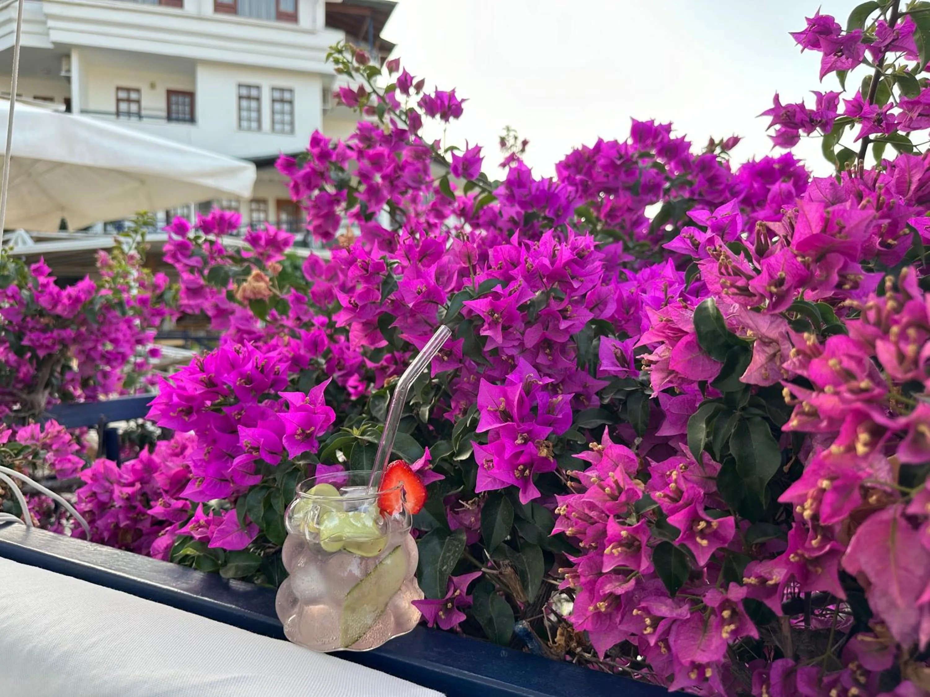 Spring in NATURELLA APART HOTEL