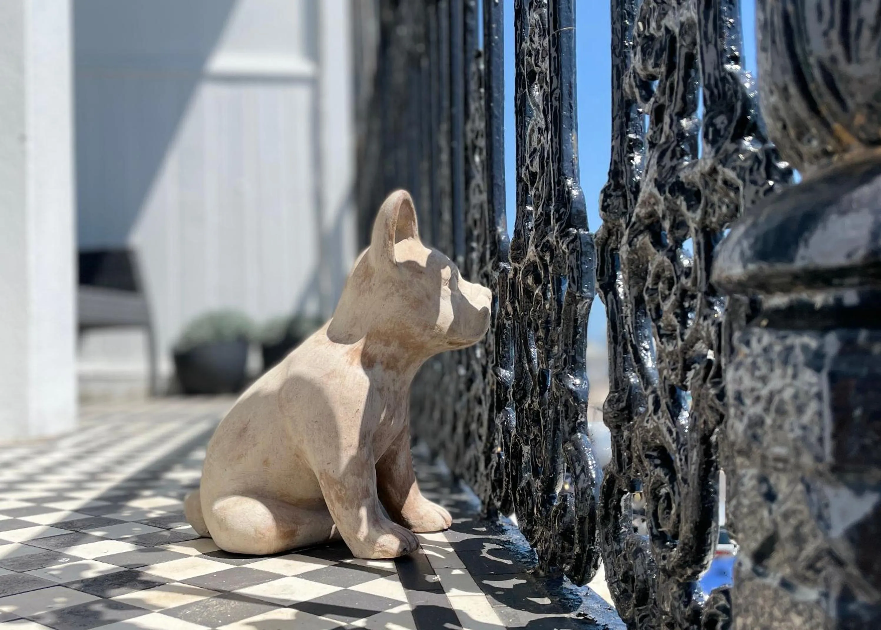 Balcony/Terrace in The Regency Studio - Stunning Seaview