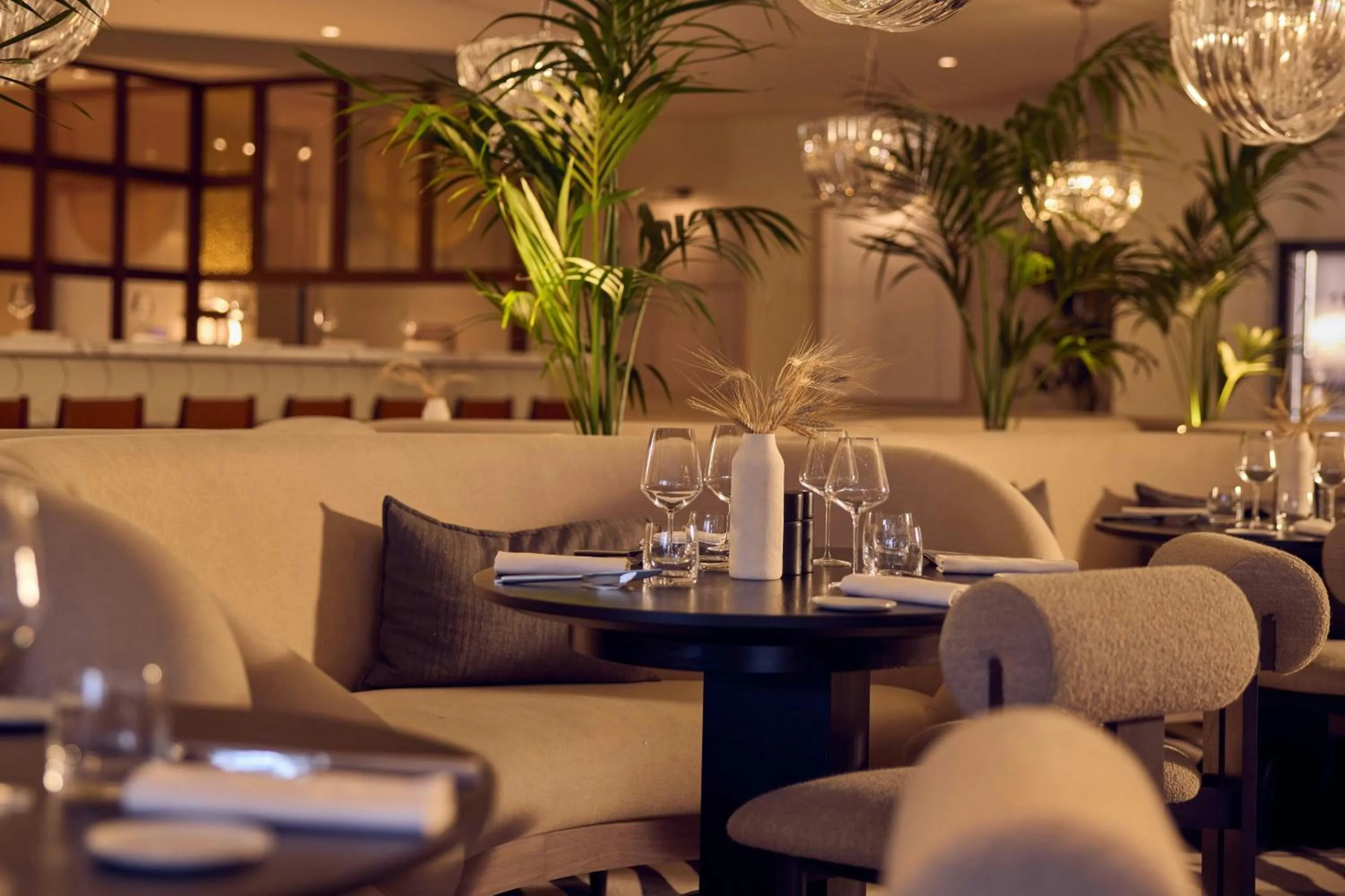 Restaurant/places to eat in Cardo Roma, Autograph Collection