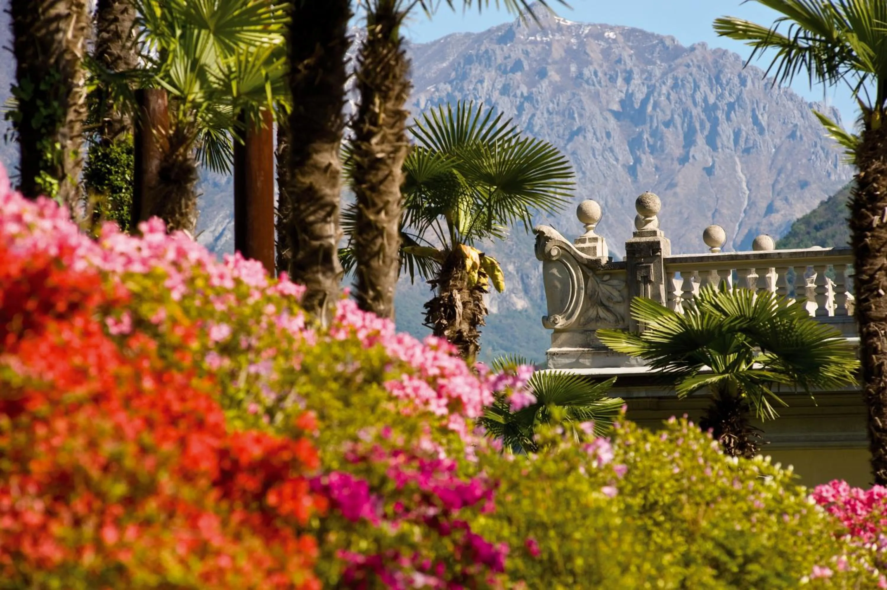 Garden in Grand Hotel Tremezzo