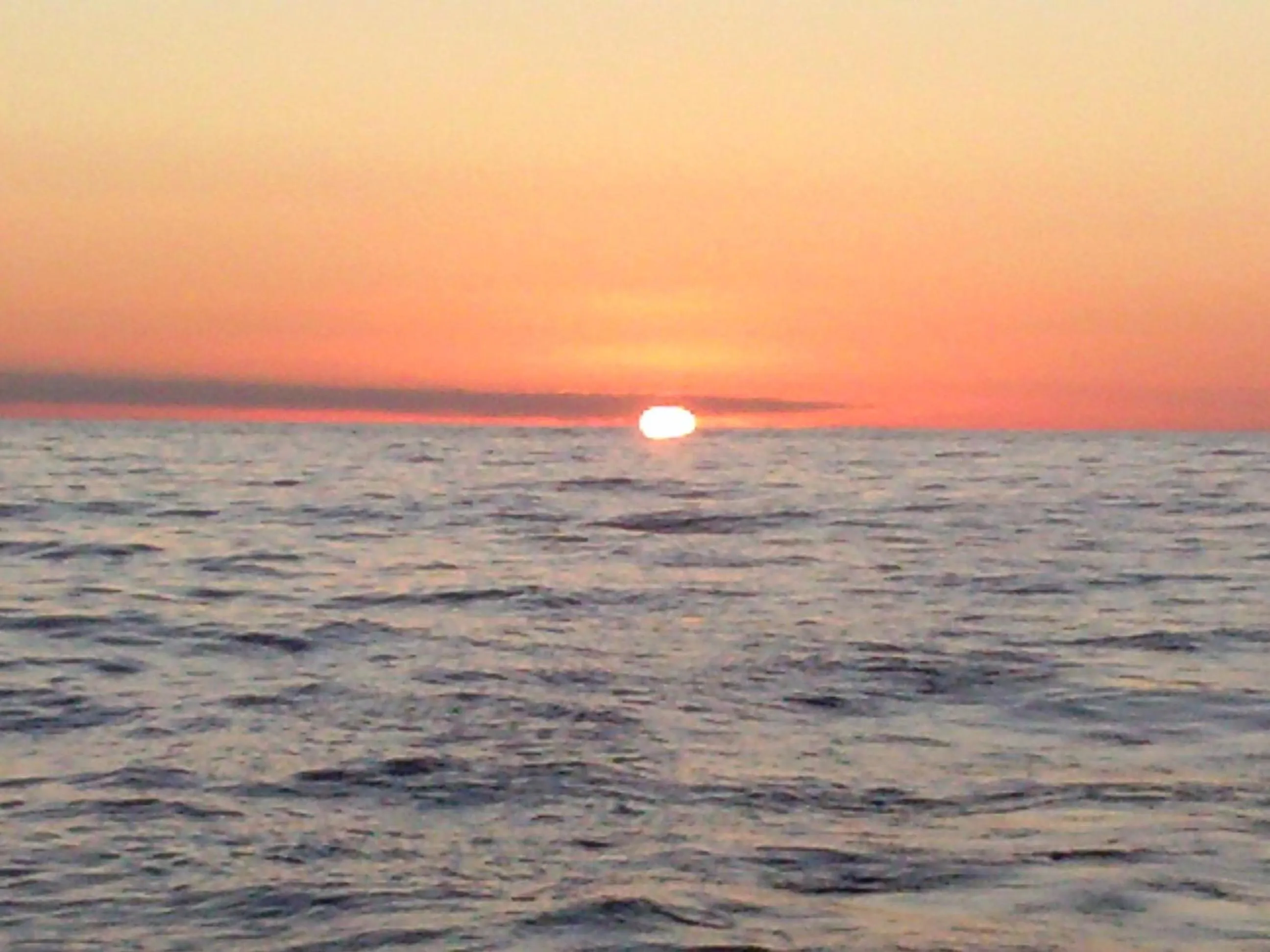 Natural landscape in Meta Hotel