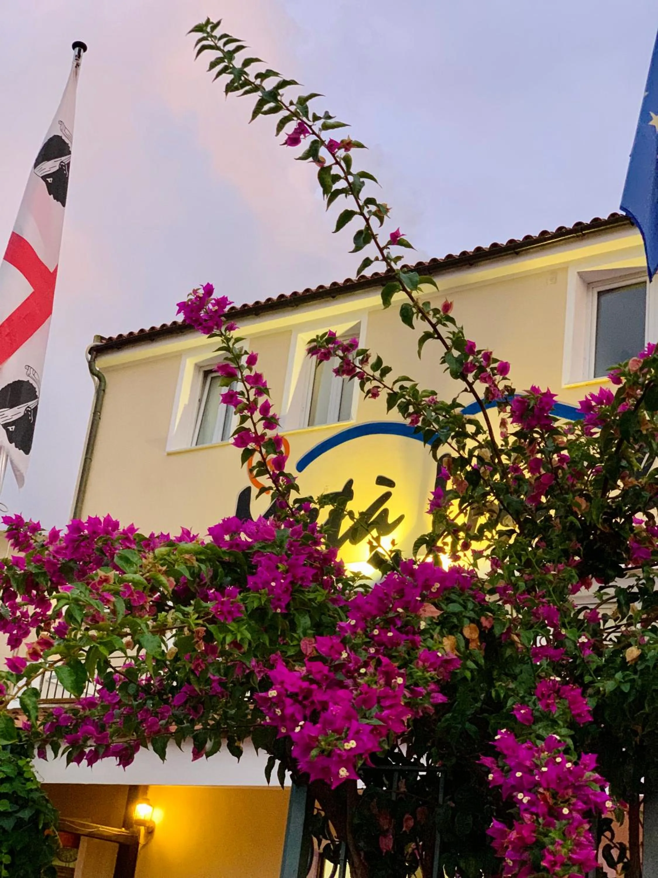 Property building in Meta Hotel