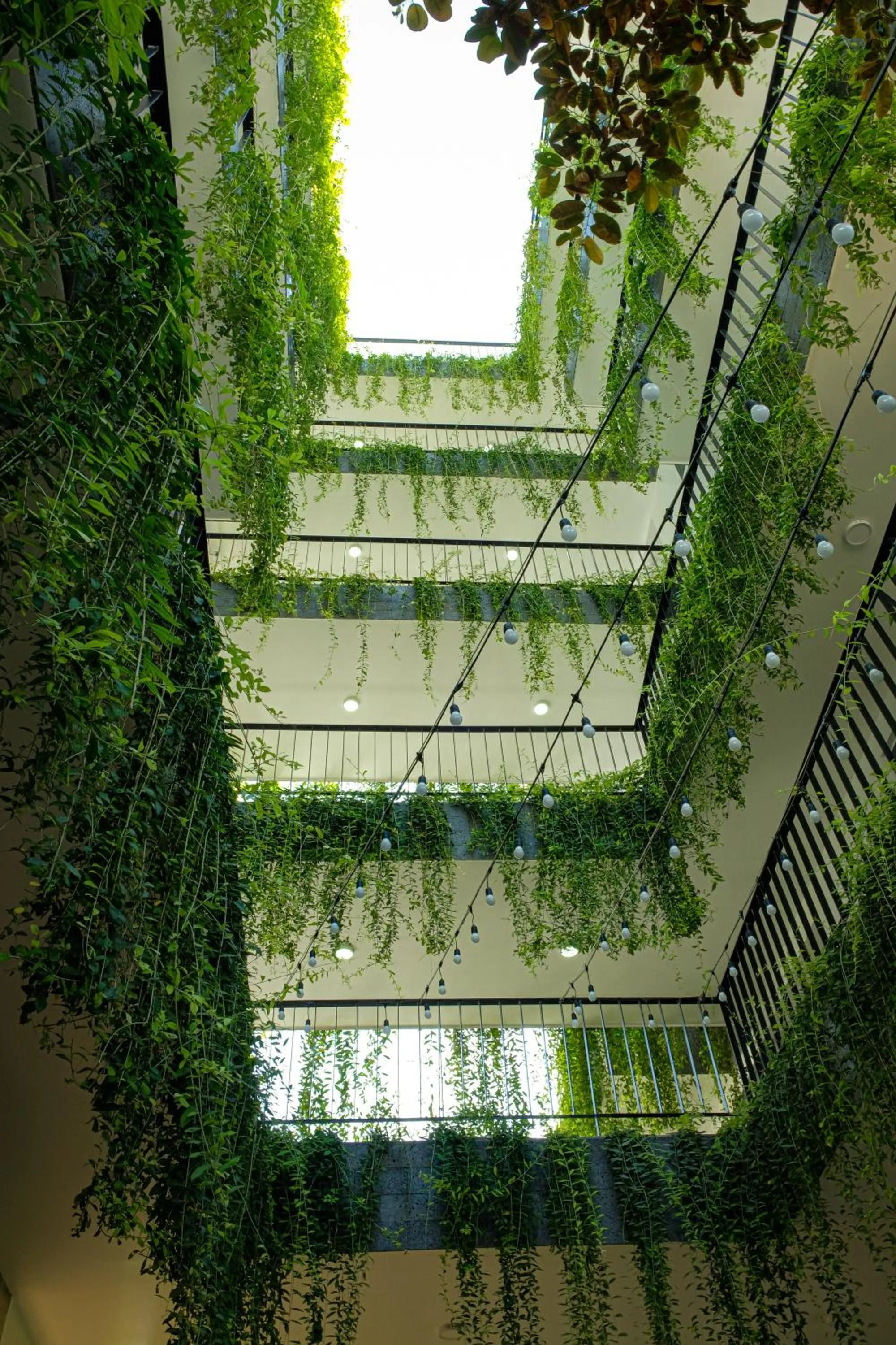 Garden view in Fati Boutique Hotel & Apartment