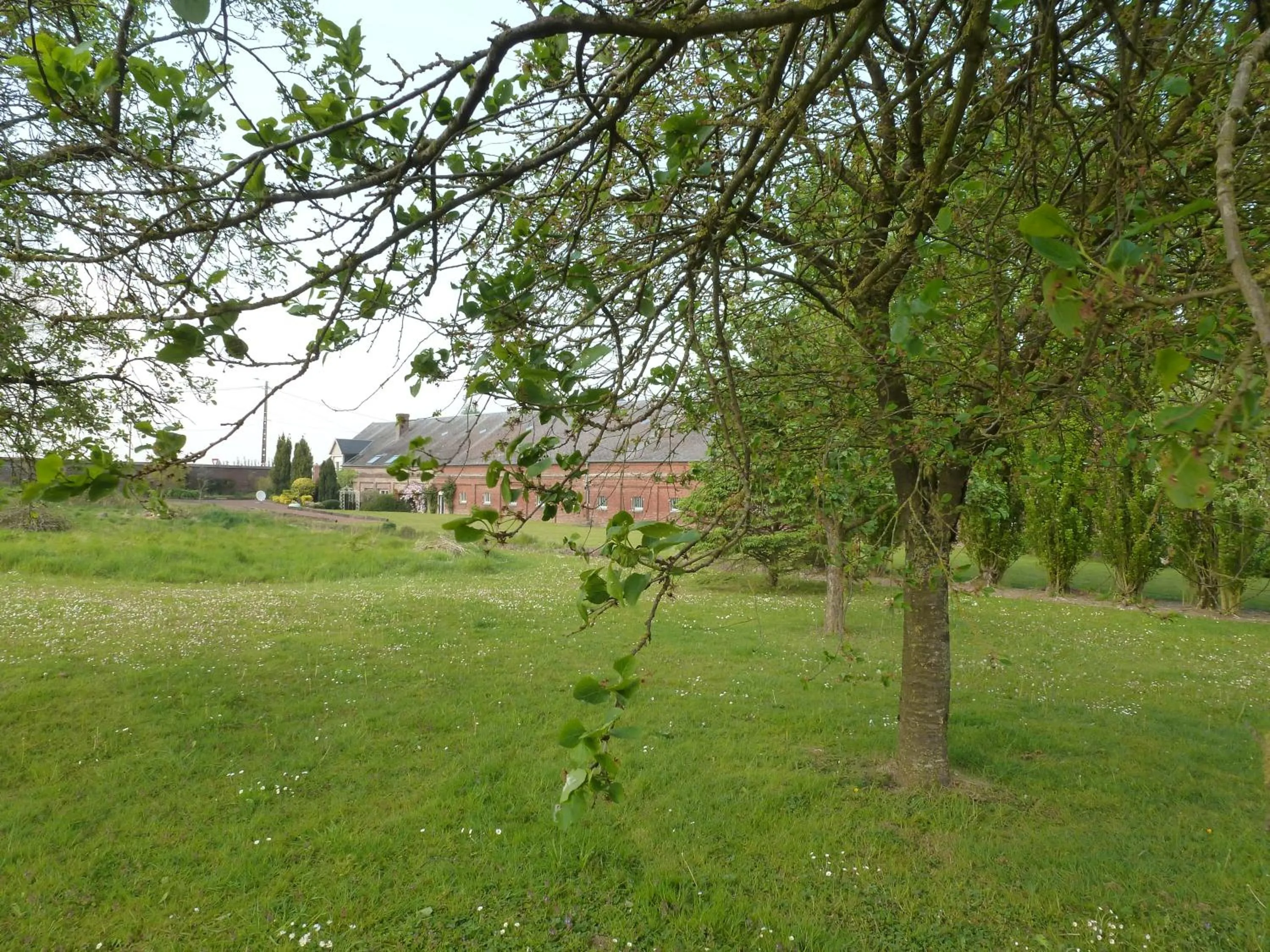Garden in Ferme De Bonavis