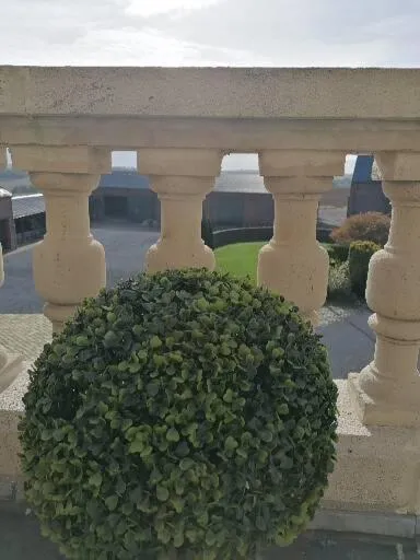 Balcony/Terrace in Ferme De Bonavis