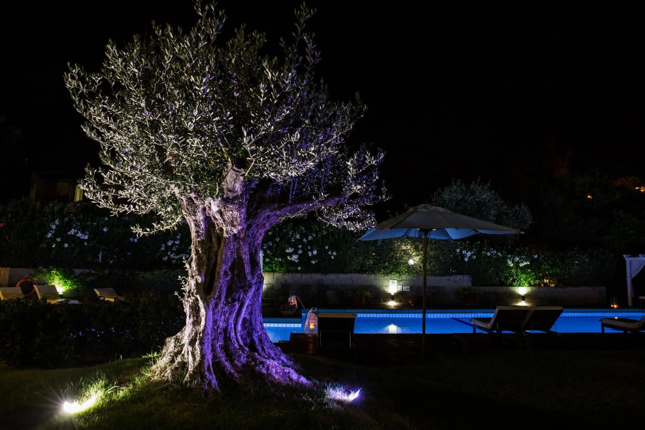 Pool view in Albaruja Hotel