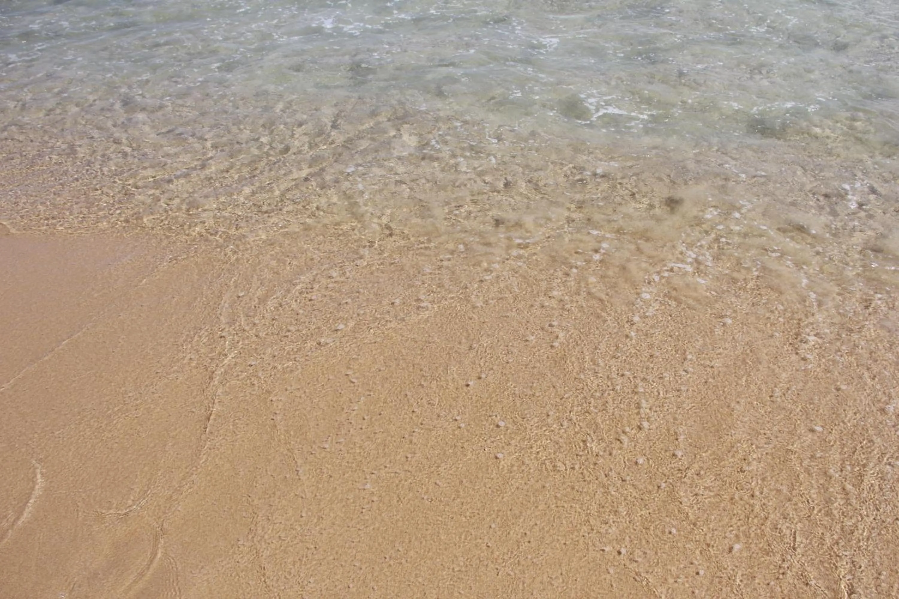 Beach in Albaruja Hotel