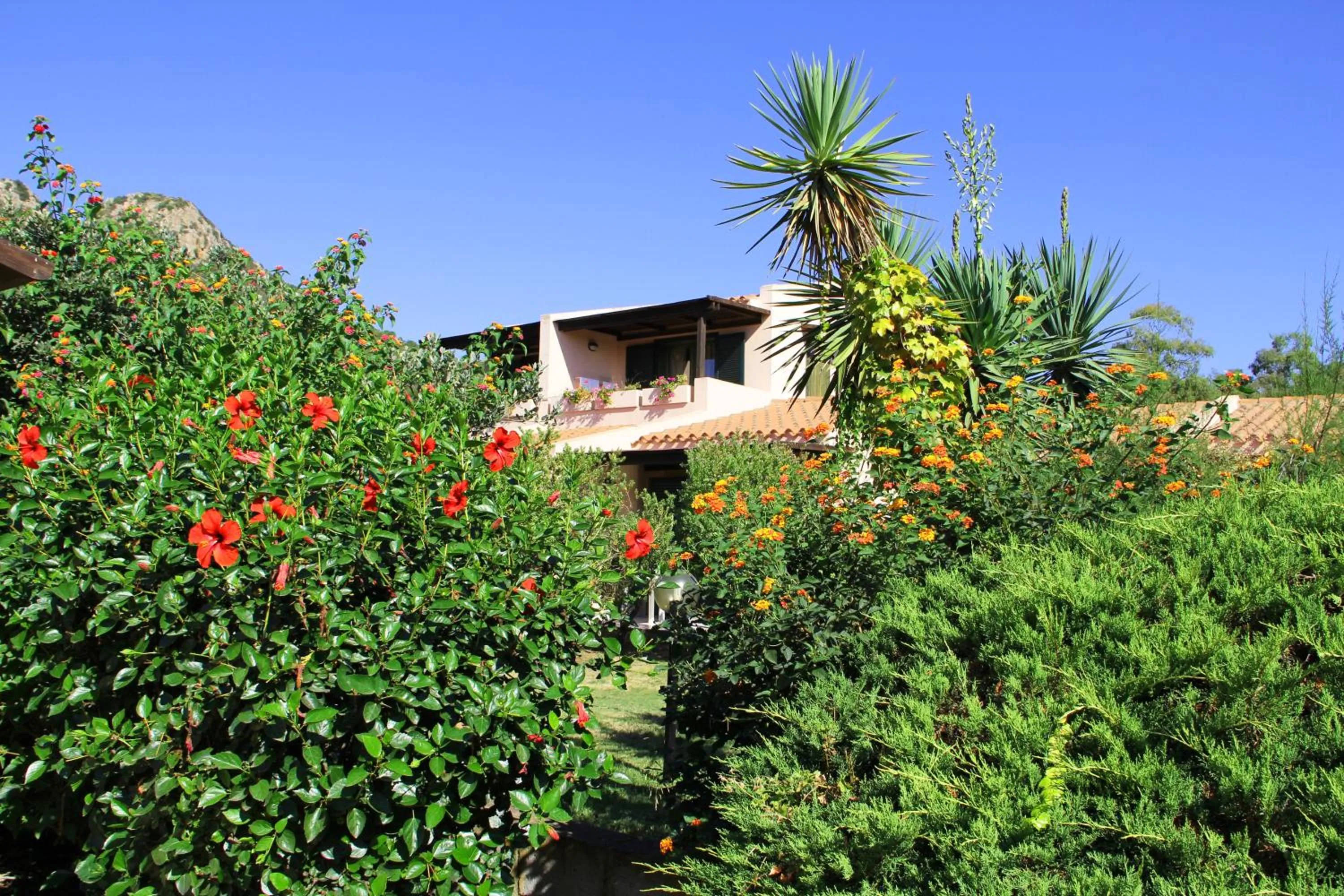 Garden in Albaruja Hotel