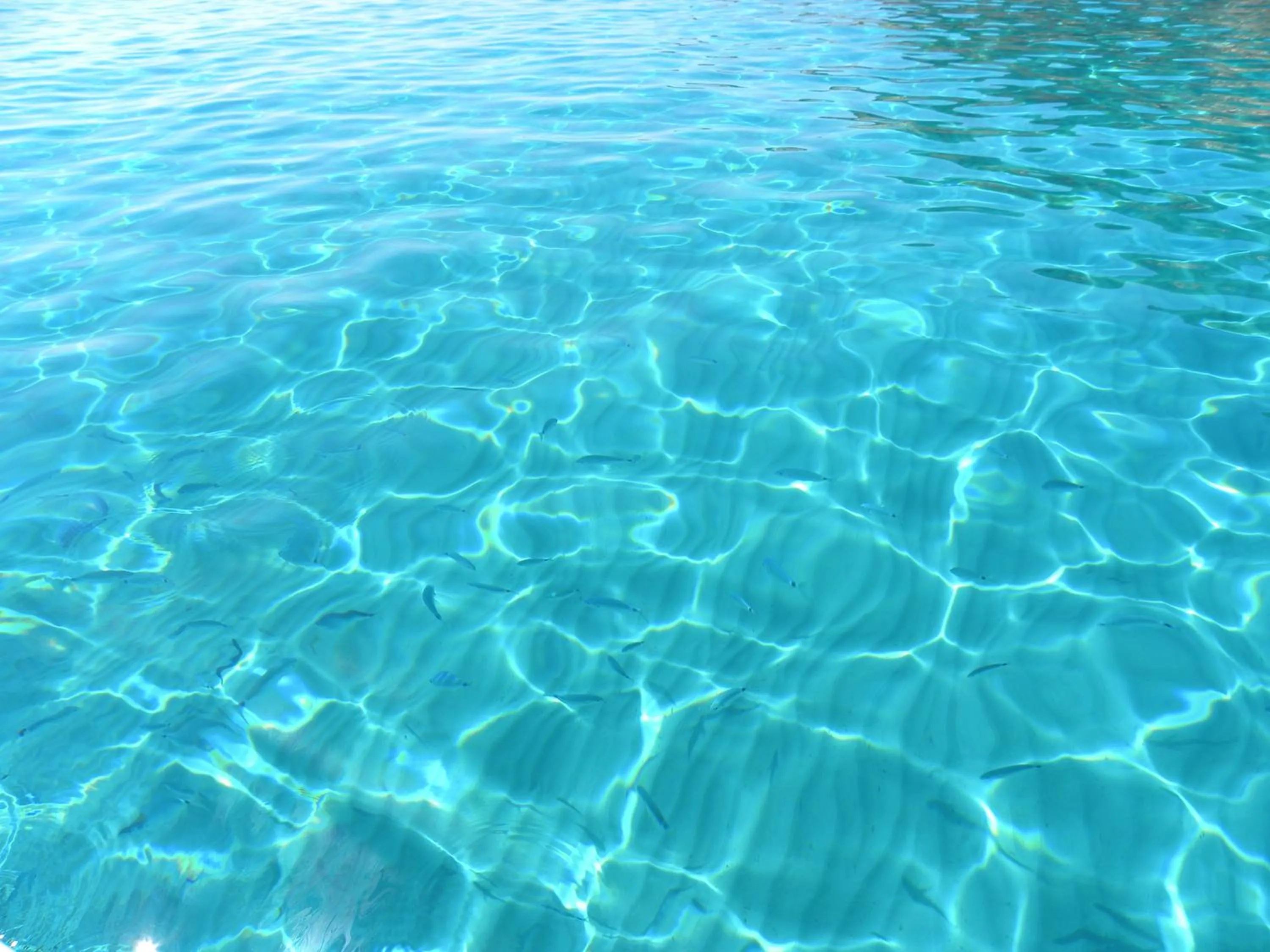 Beach in Albaruja Hotel