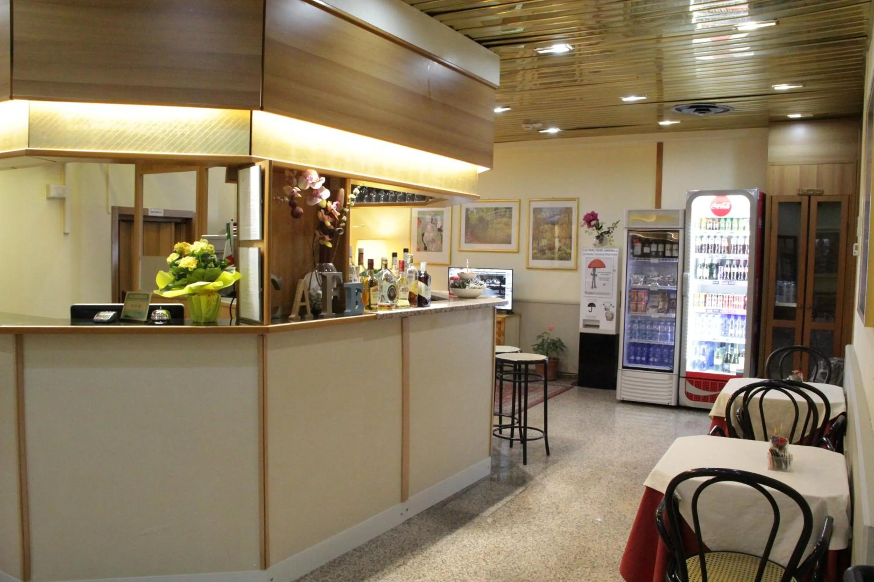 Lounge or bar in Hotel Lugano