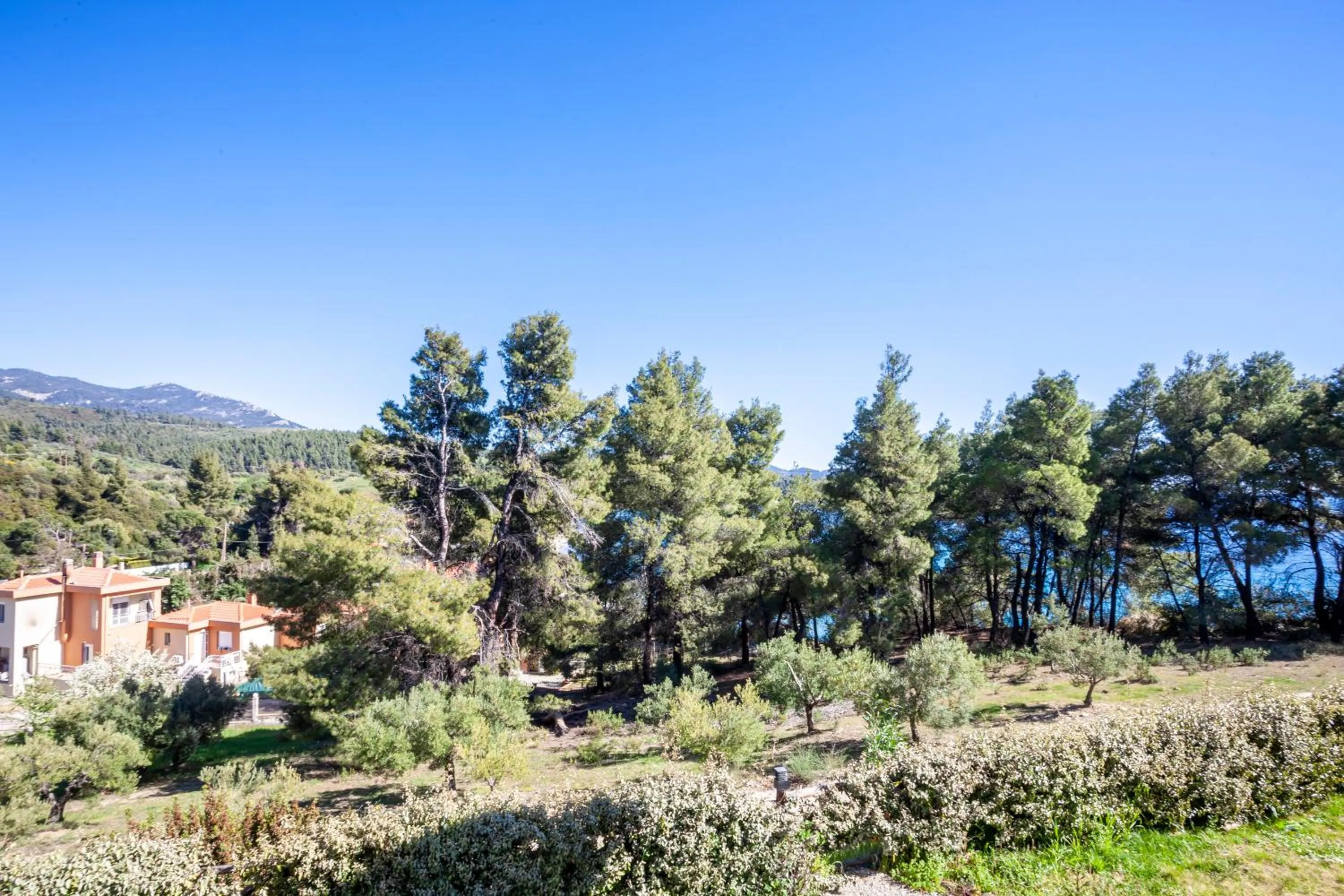 Natural landscape in Alterra Vita Homes By the Sea