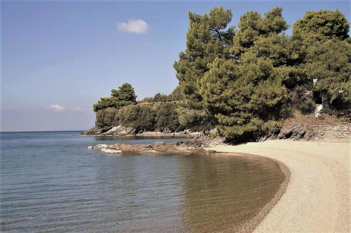 Nearby landmark in Alterra Vita Homes By the Sea