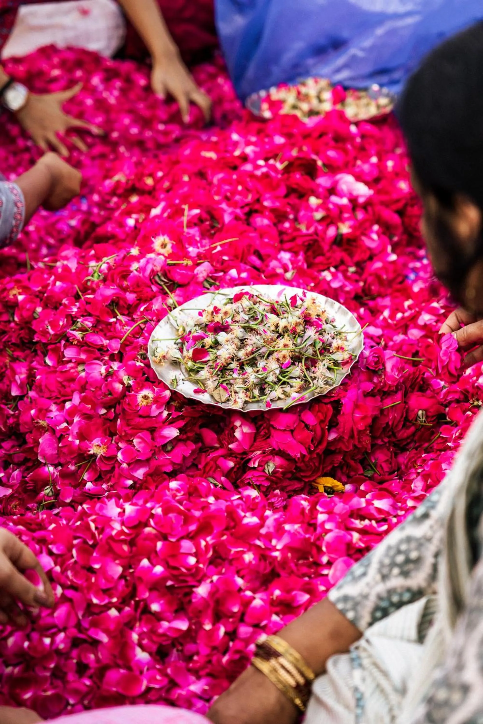 Activities in Poshtel VNS