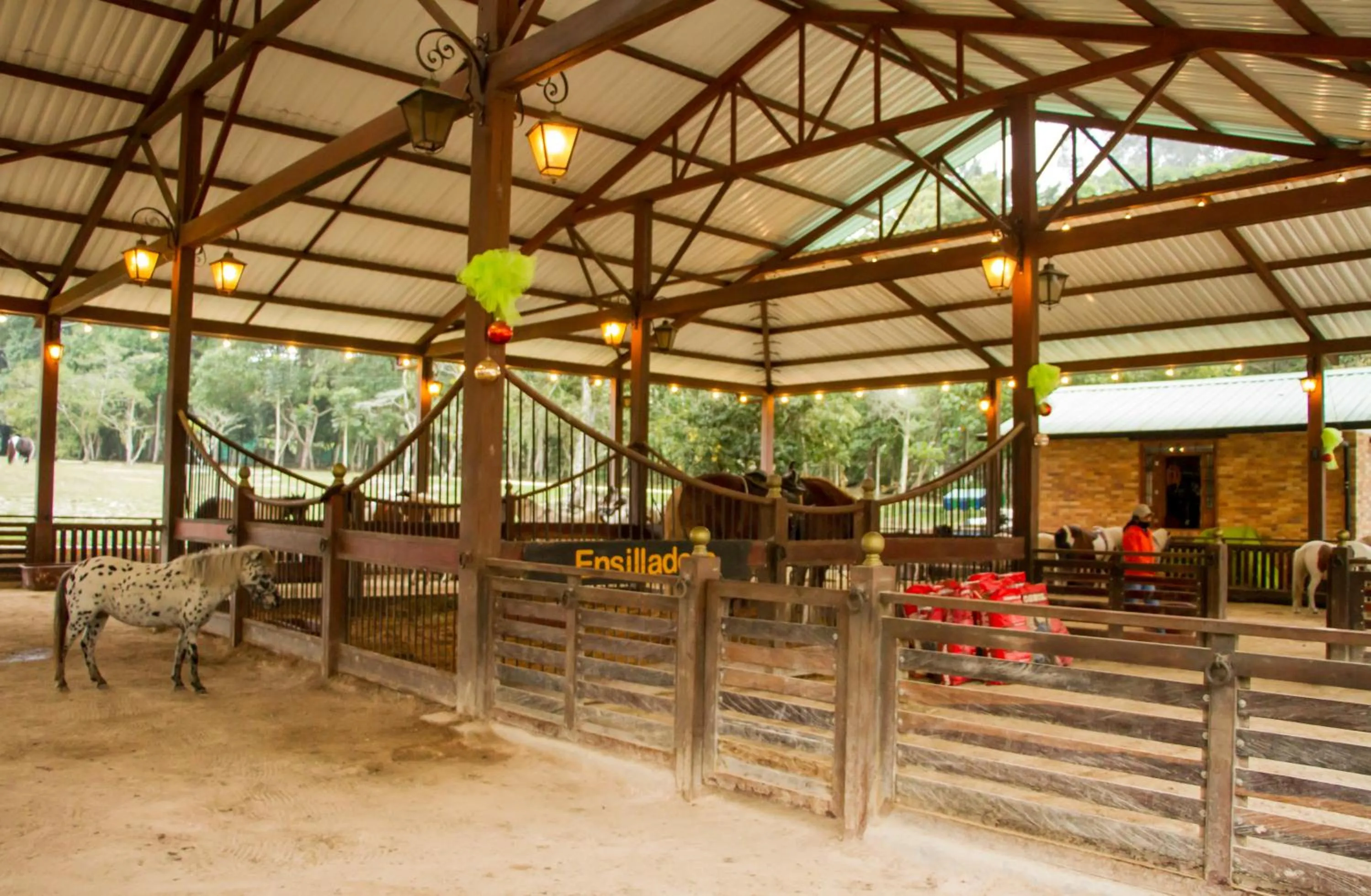 Horse-riding in Hotel Mesa De Los Santos