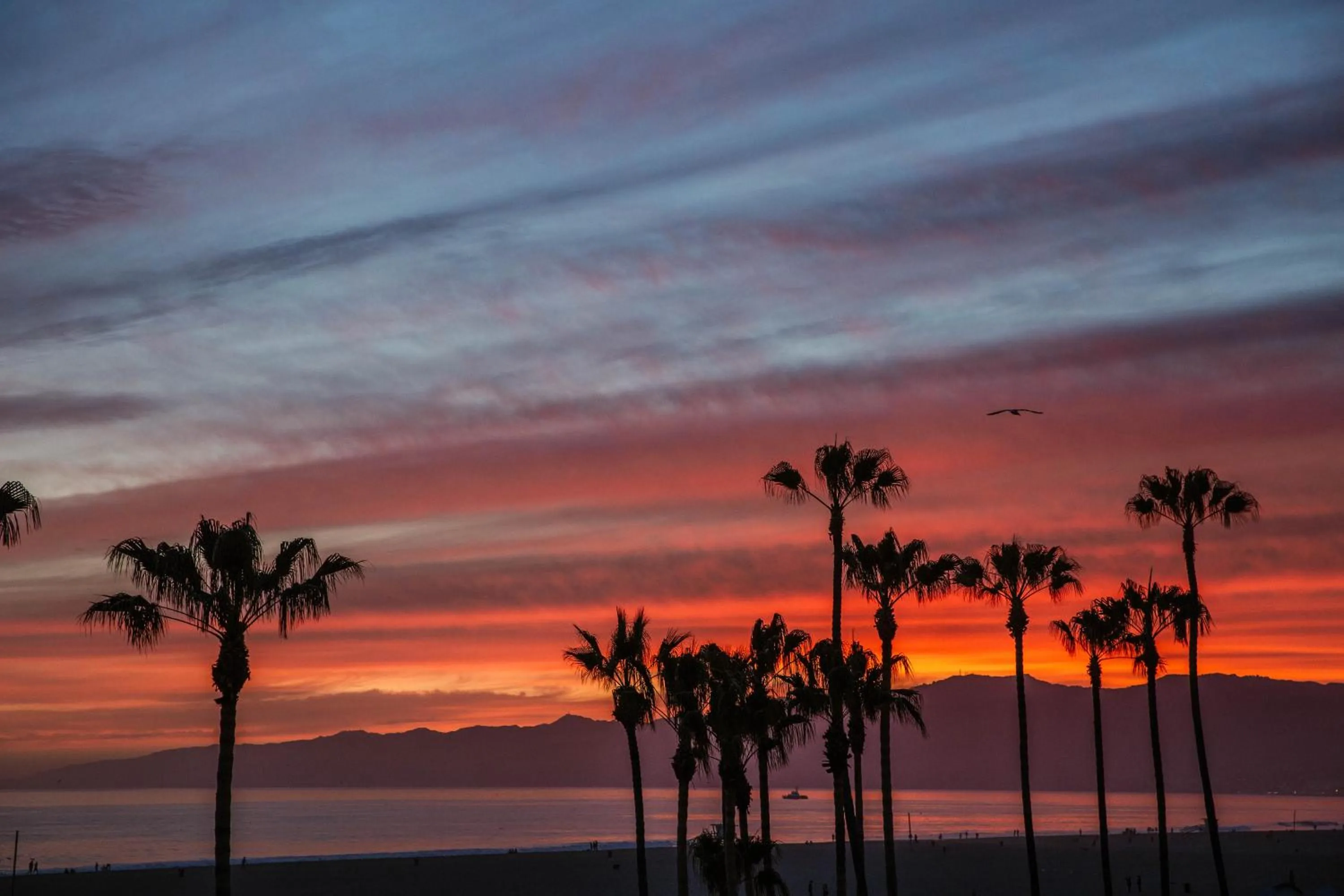 Patio in STAY OPEN Venice Beach