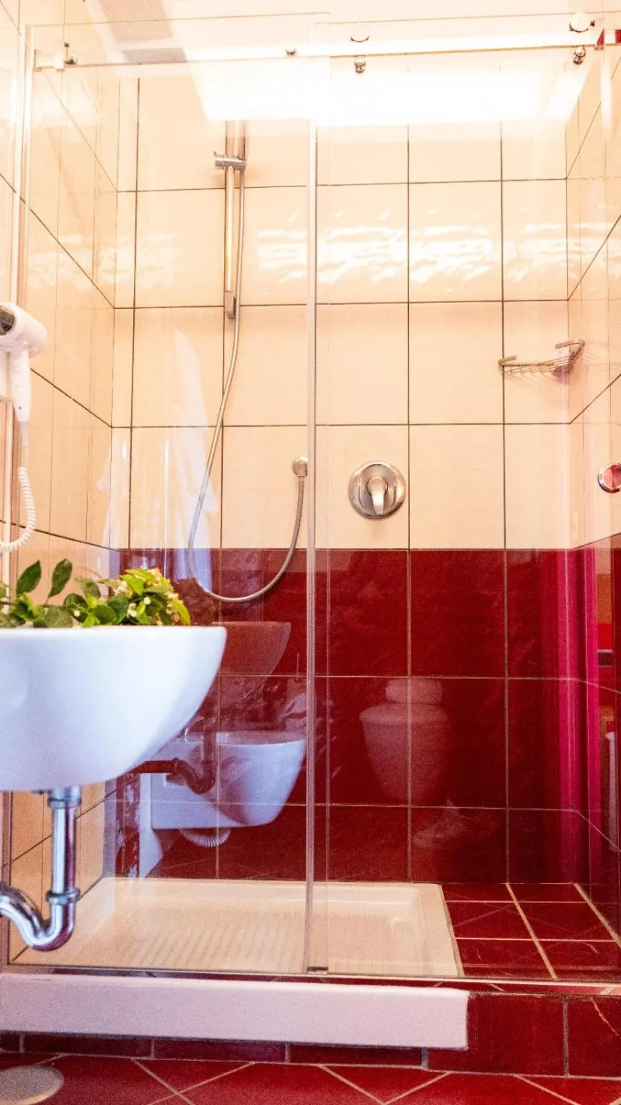 Shower in Hotel Diana