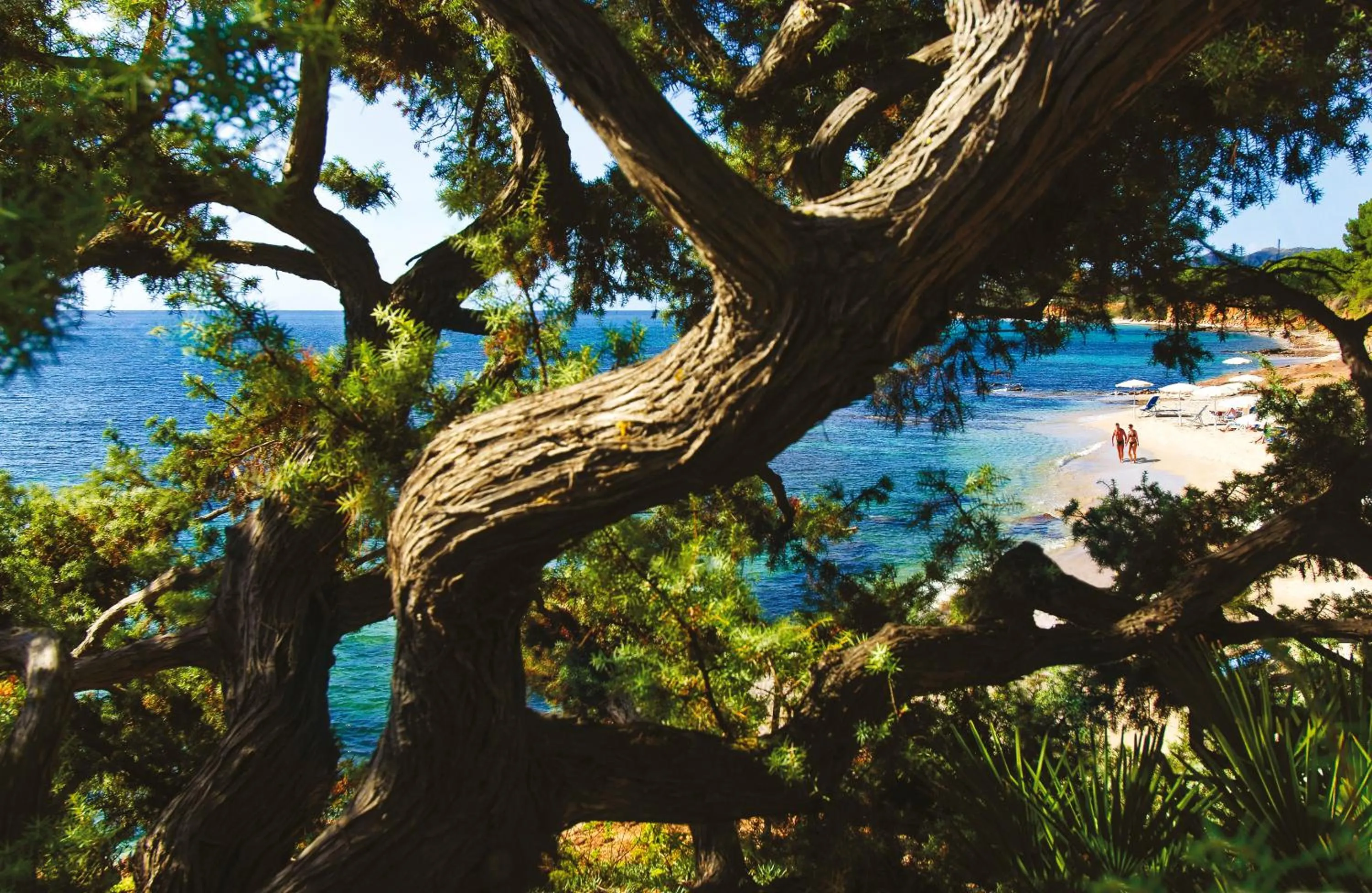 Beach in Luna Sardinia
