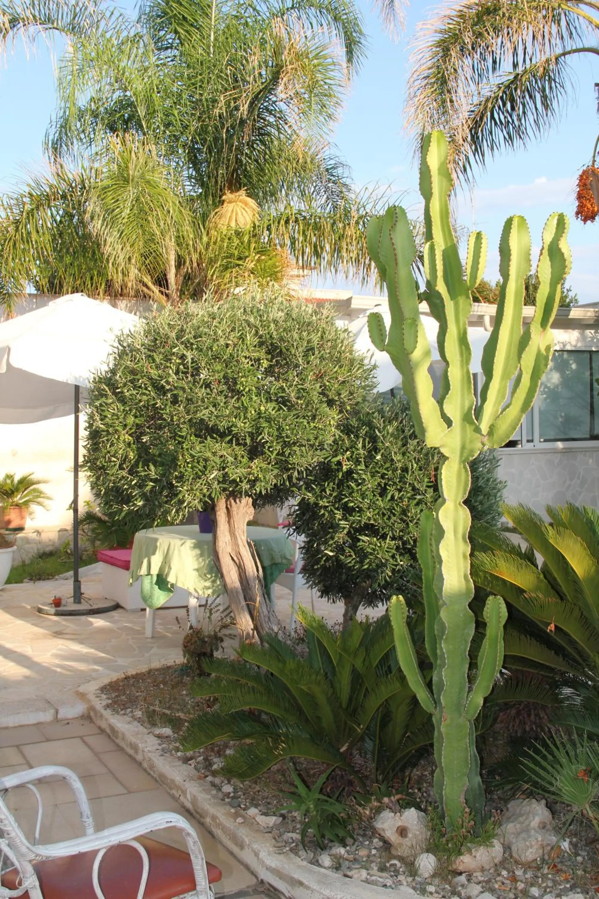 Patio in B&B Valentino